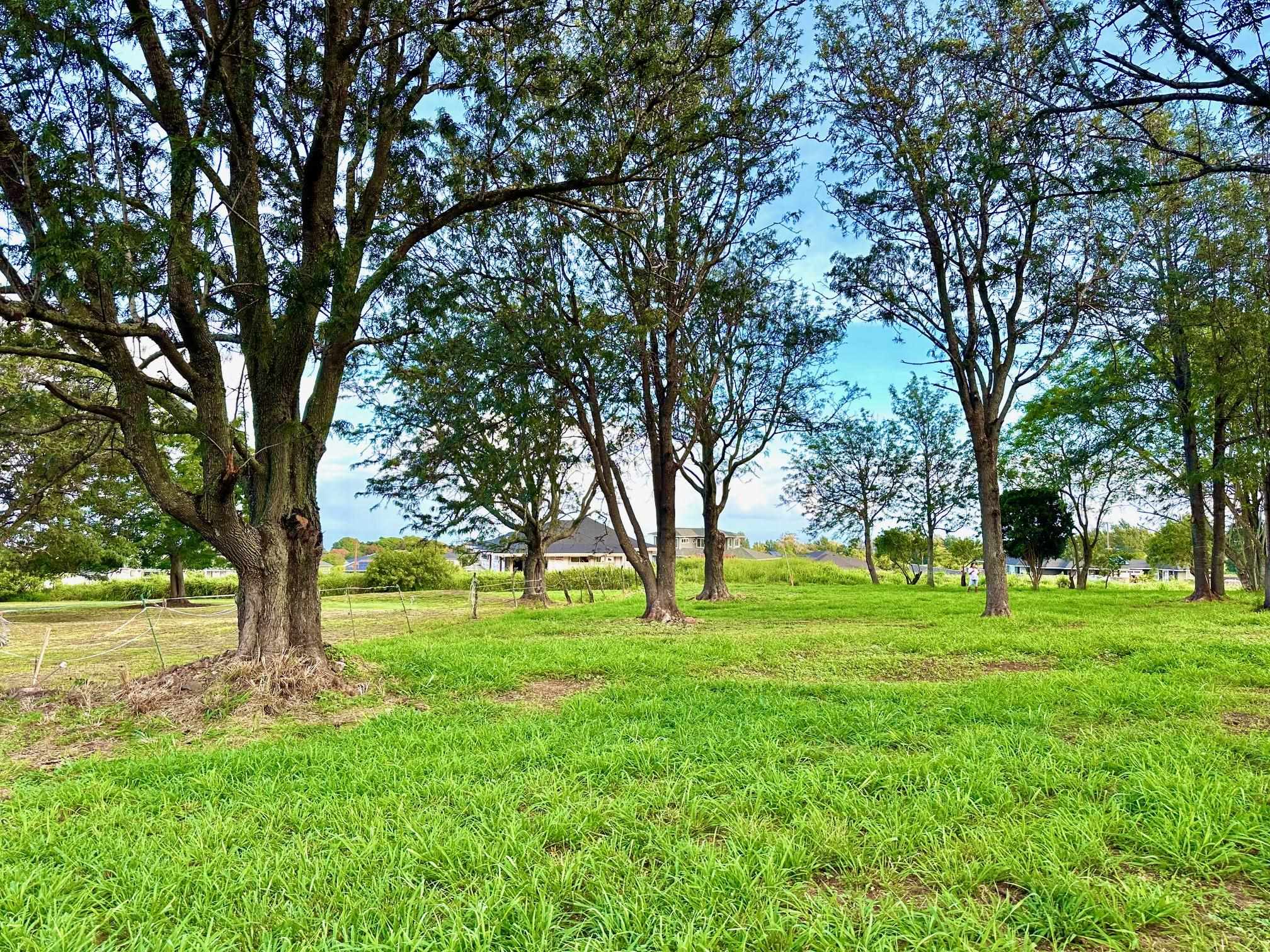 26 Kula Hwy Unit A Pukalani, Hi vacant land for sale - photo 2 of 32