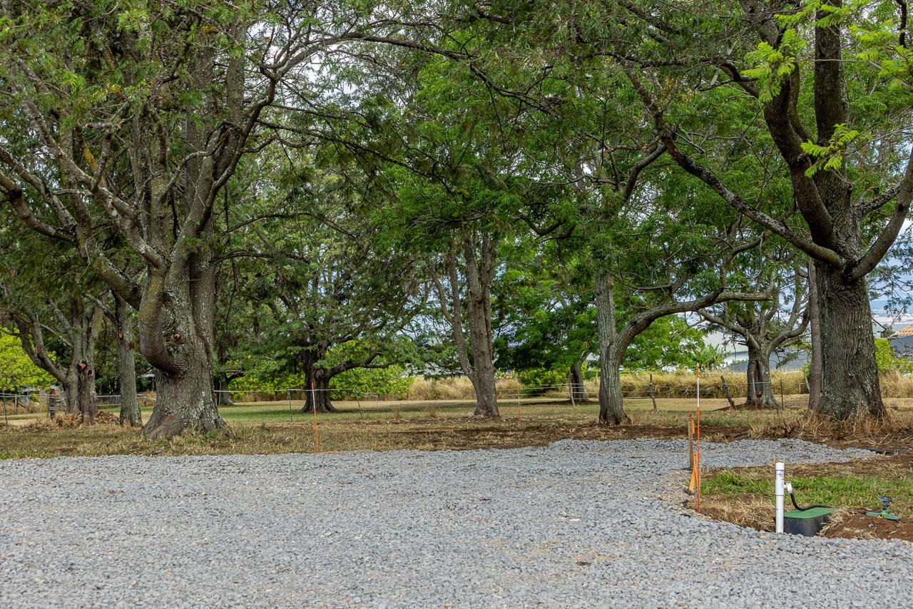 26 Kula Hwy Unit A Pukalani, Hi vacant land for sale - photo 19 of 32