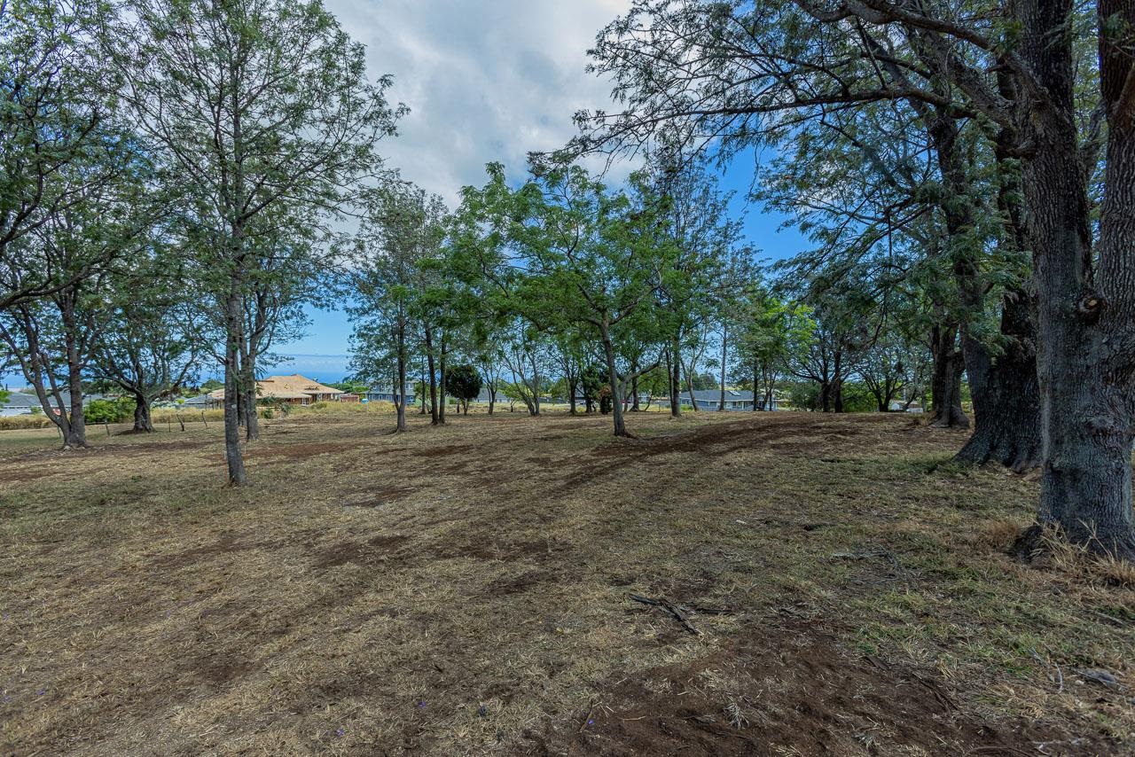 26 Kula Hwy Unit A Pukalani, Hi vacant land for sale - photo 21 of 32