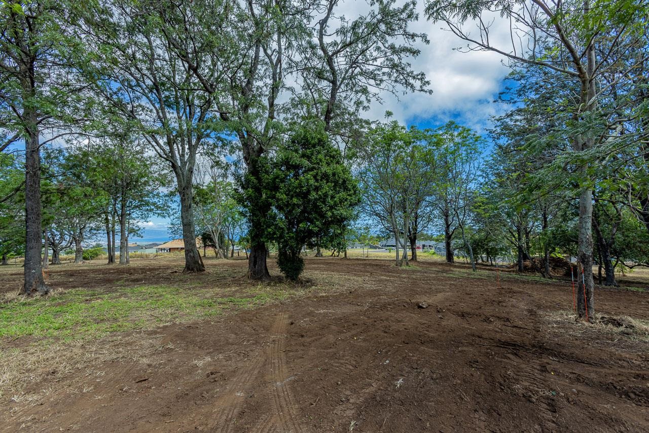 26 Kula Hwy Unit A Pukalani, Hi vacant land for sale - photo 22 of 32