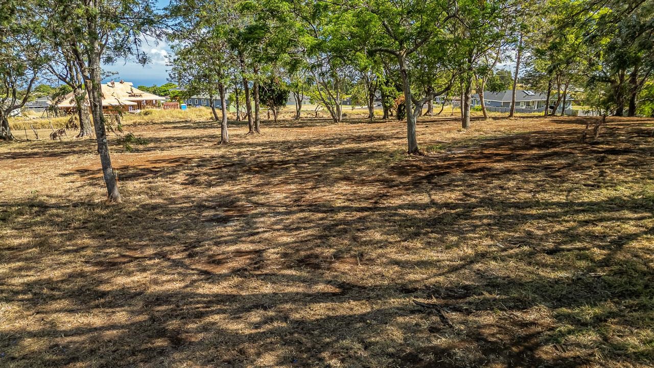 26 Kula Hwy Unit A Pukalani, Hi vacant land for sale - photo 25 of 32