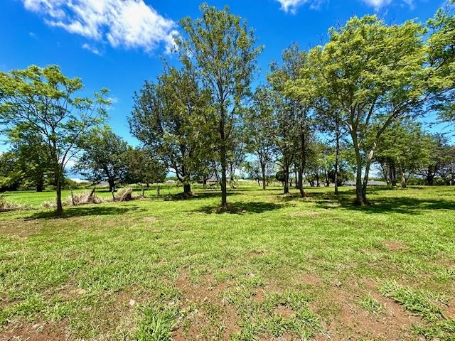 26 Kula Hwy Unit A Pukalani, Hi vacant land for sale - photo 7 of 32