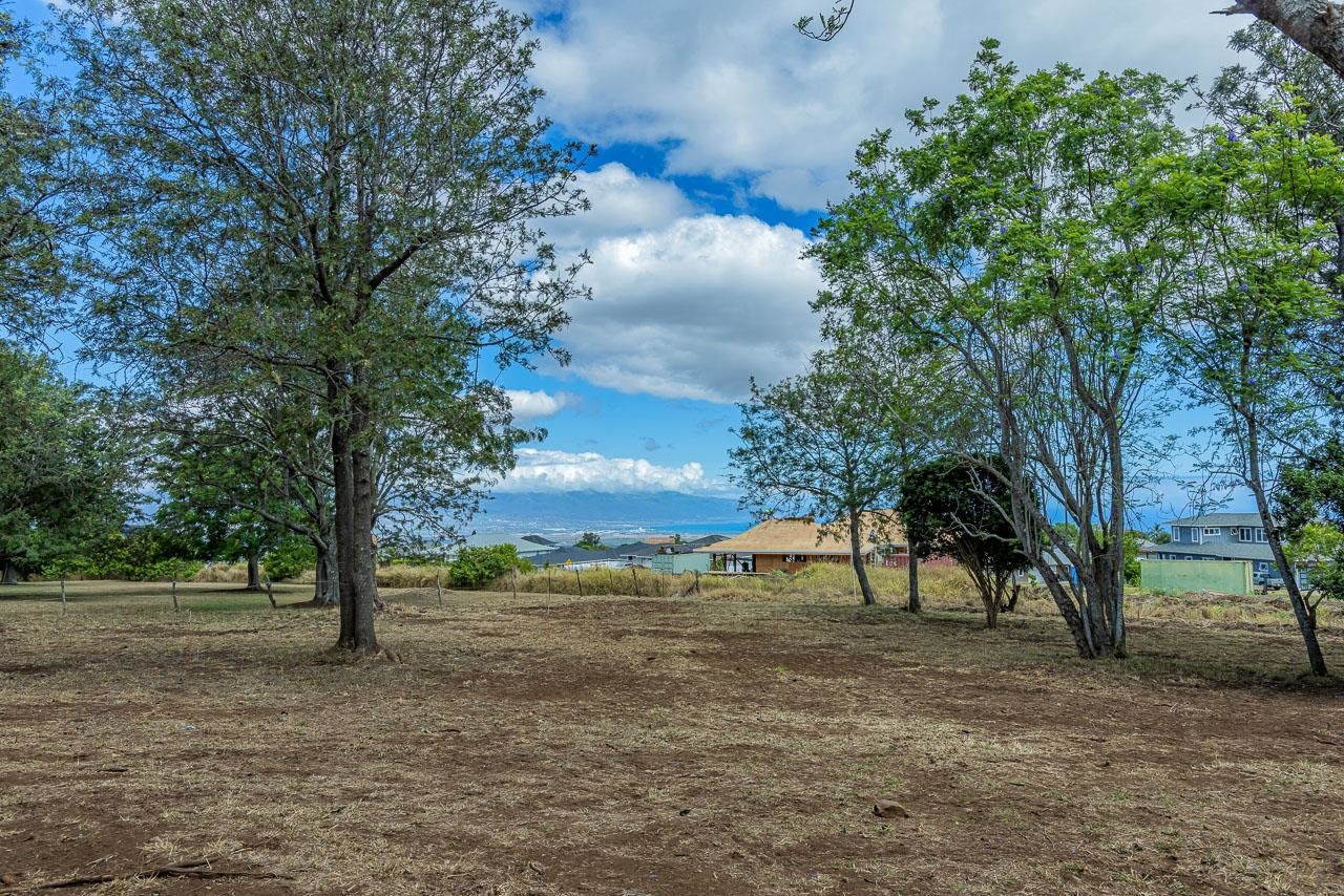 26 Kula Hwy Unit B Pukalani, Hi vacant land for sale - photo 20 of 32