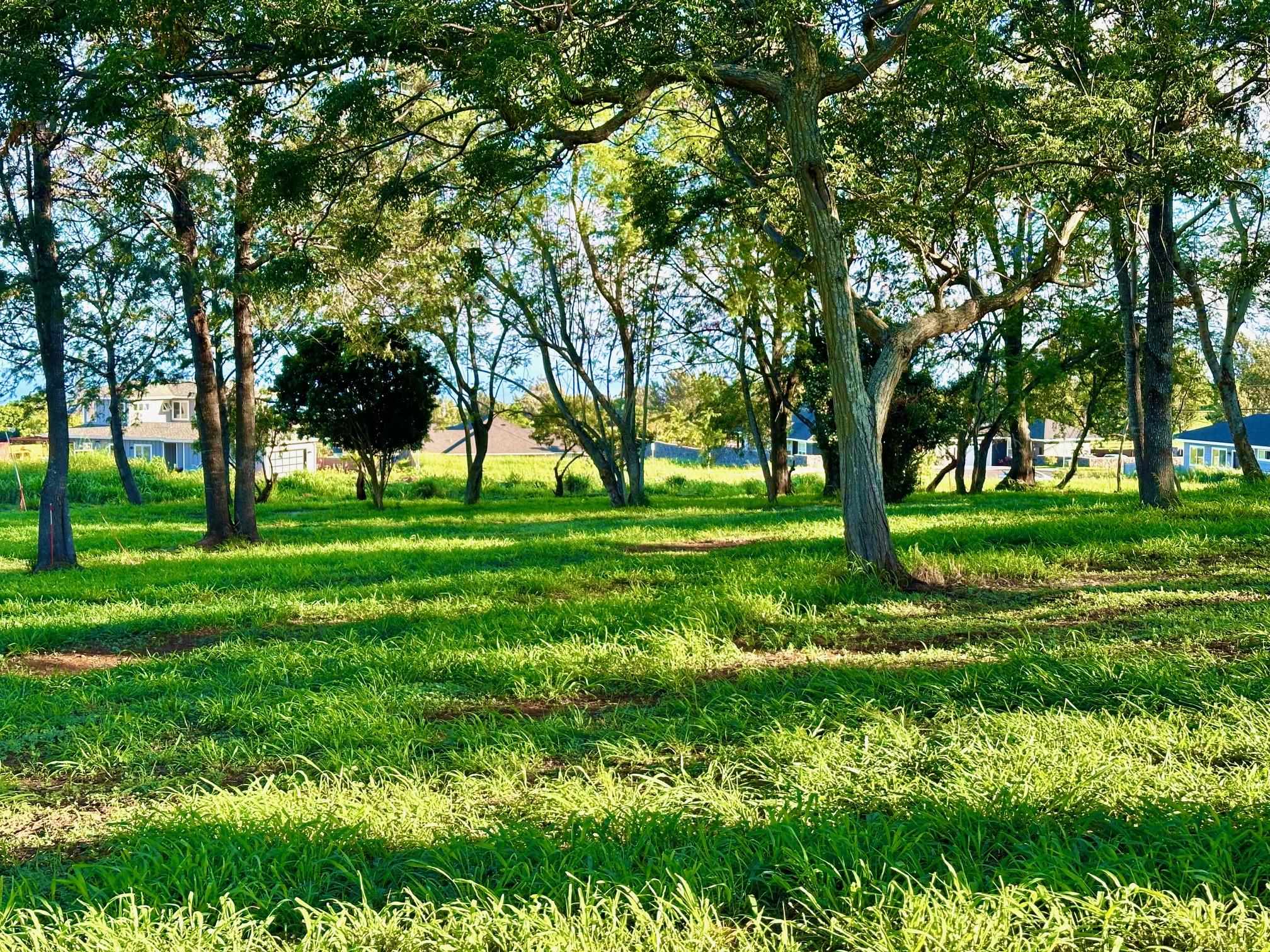 26 Kula Hwy Unit B Pukalani, Hi vacant land for sale - photo 5 of 32