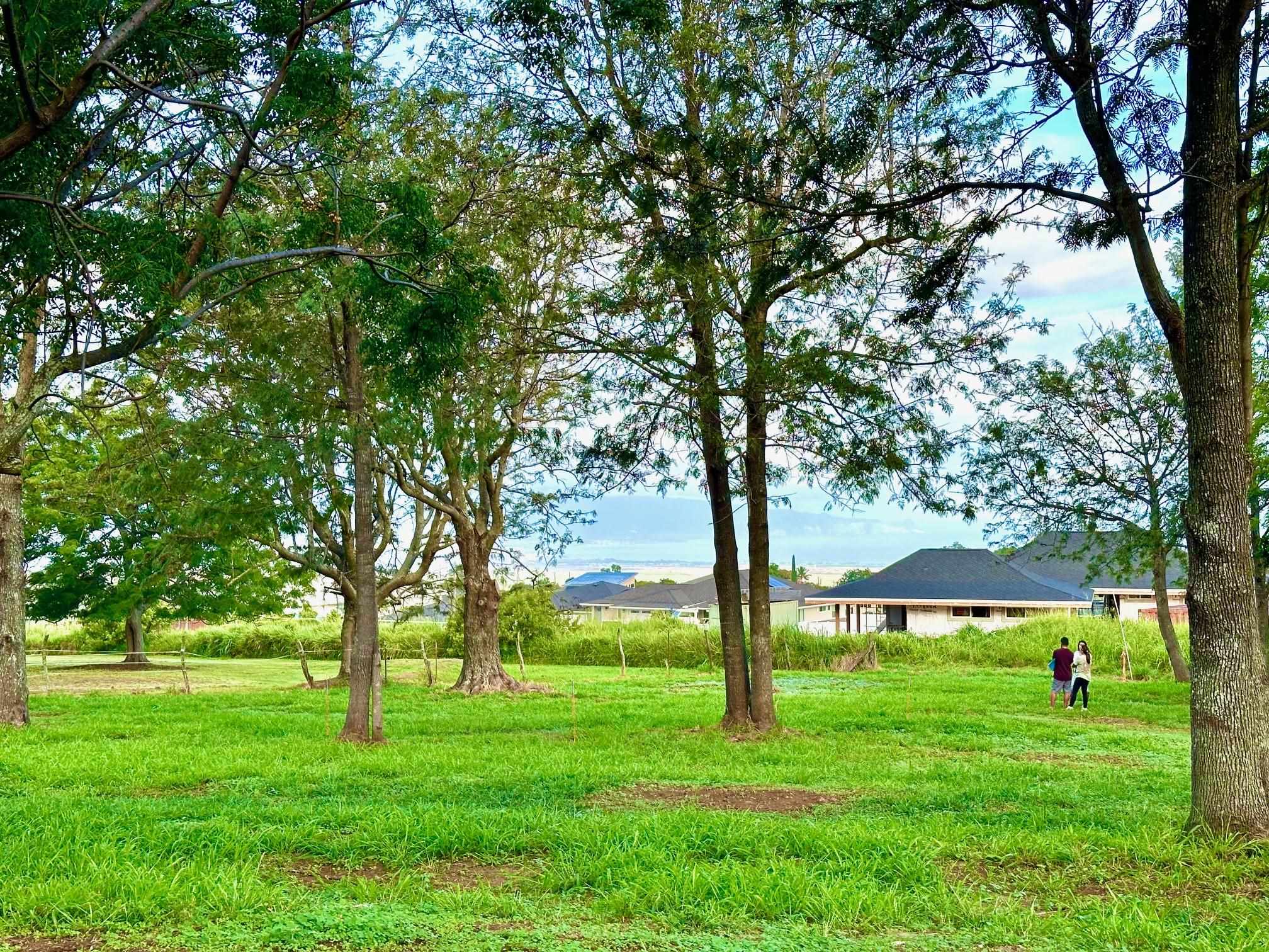 26 Kula Hwy Unit B Pukalani, Hi vacant land for sale - photo 6 of 32