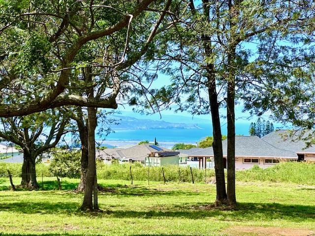 26 Kula Hwy Unit B Pukalani, Hi vacant land for sale - photo 10 of 32