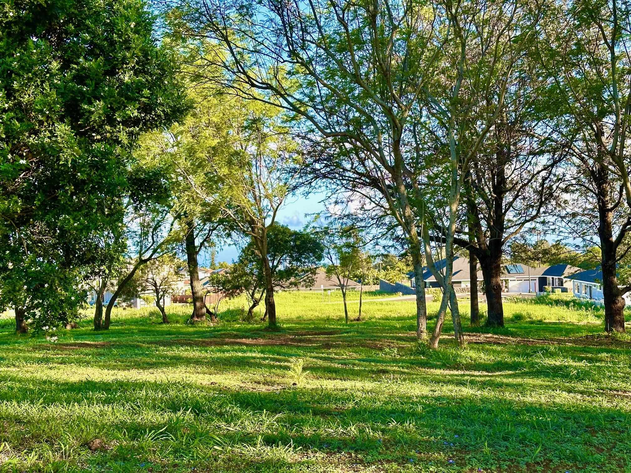 26 Kula Hwy Unit C Pukalani, Hi vacant land for sale - photo 11 of 35