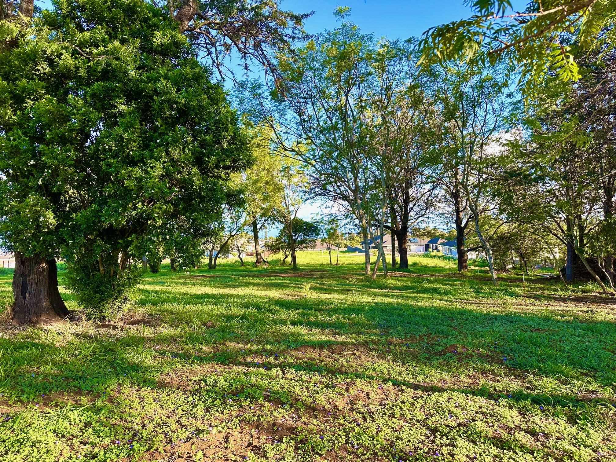 26 Kula Hwy Unit C Pukalani, Hi vacant land for sale - photo 12 of 35