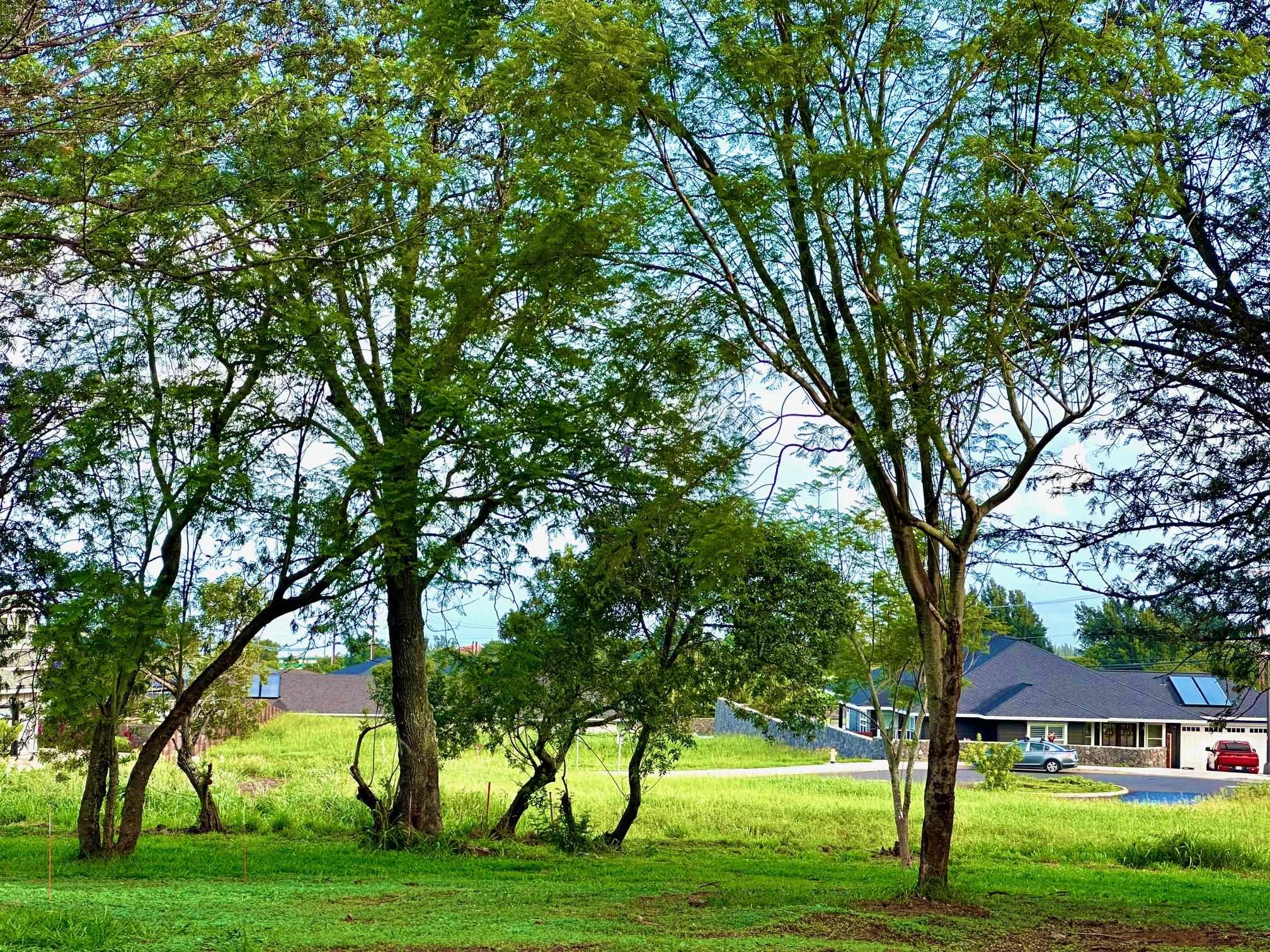 26 Kula Hwy Lower Kula  - photo 13 of 35