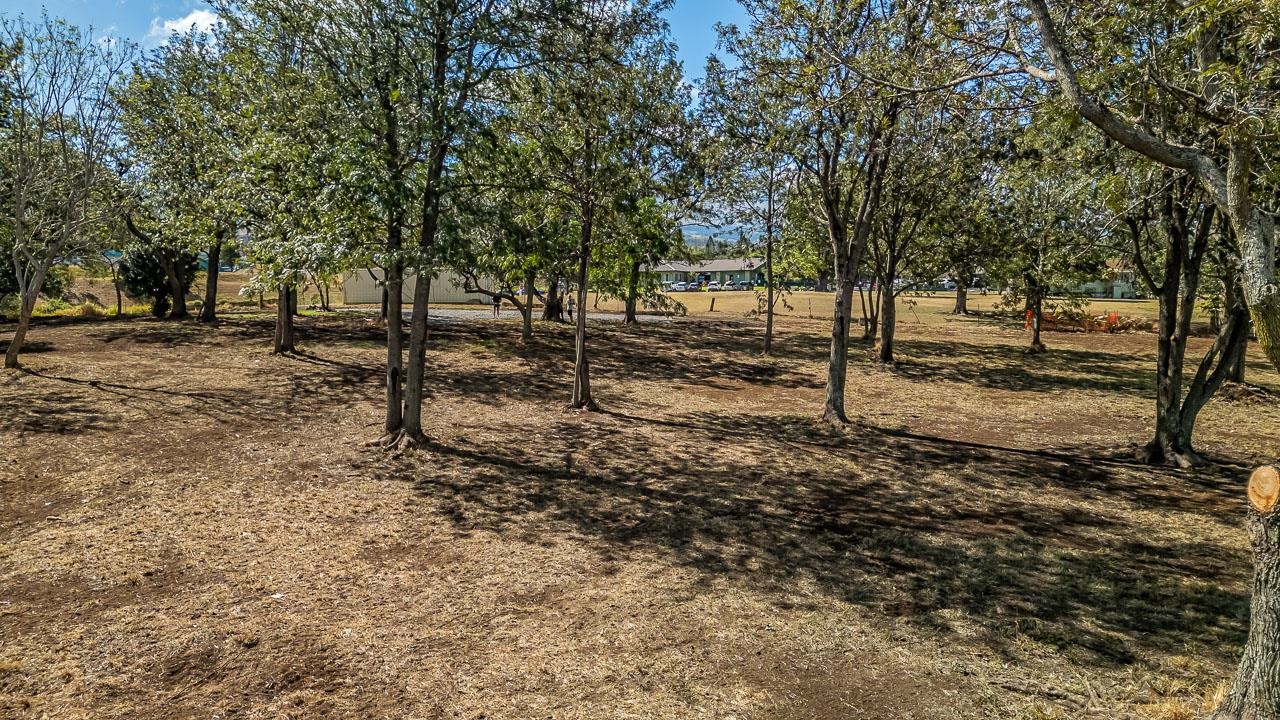 26 Kula Hwy Lower Kula  - photo 30 of 35