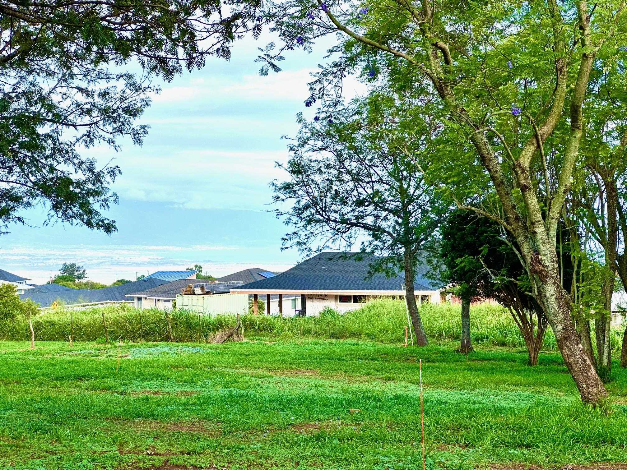 26 Kula Hwy Lower Kula  - photo 4 of 35