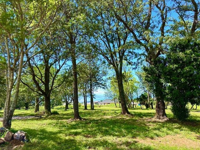 26 Kula Hwy Lower Kula  - photo 5 of 35