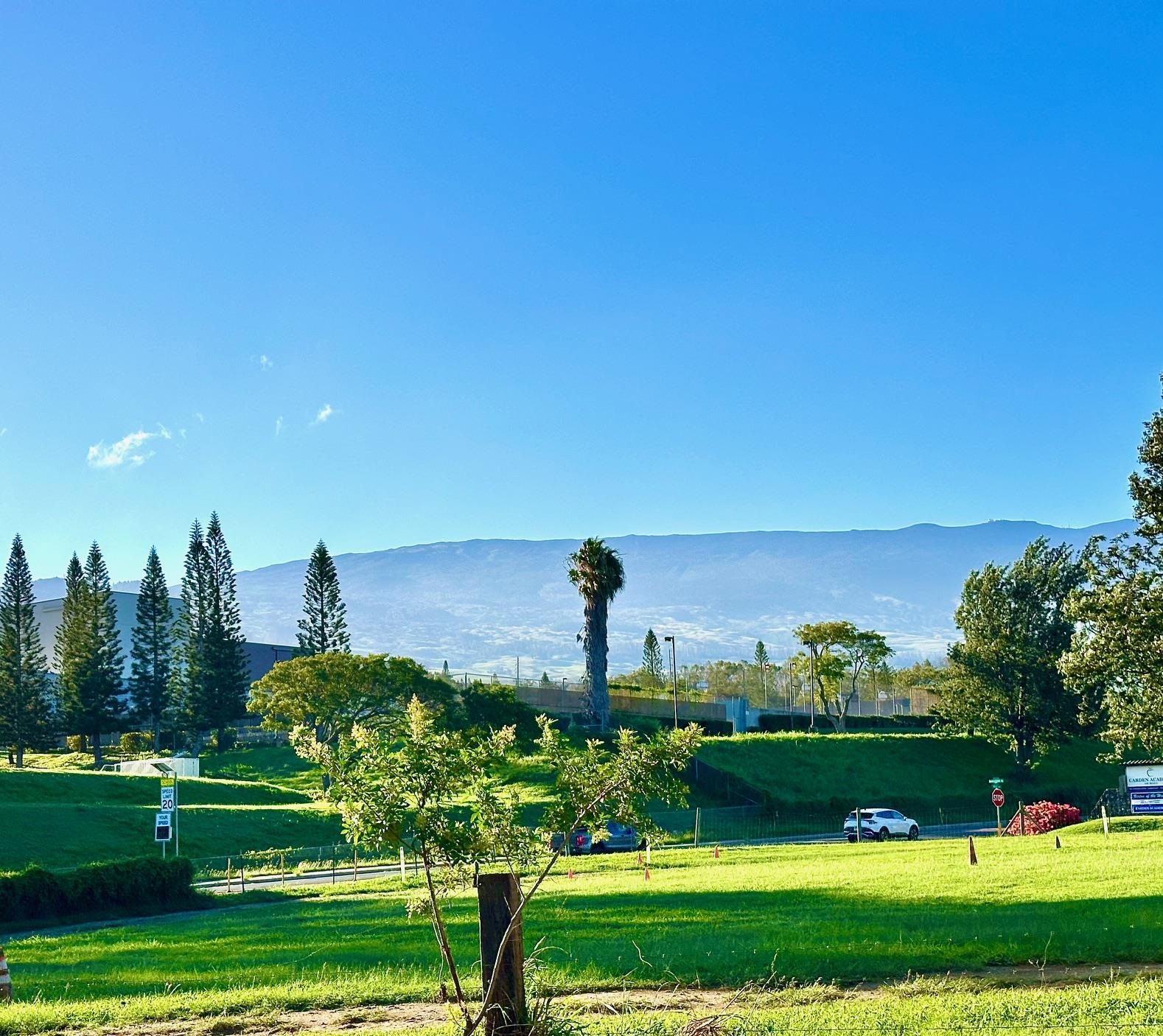 26 Kula Hwy Lower Kula  - photo 6 of 35