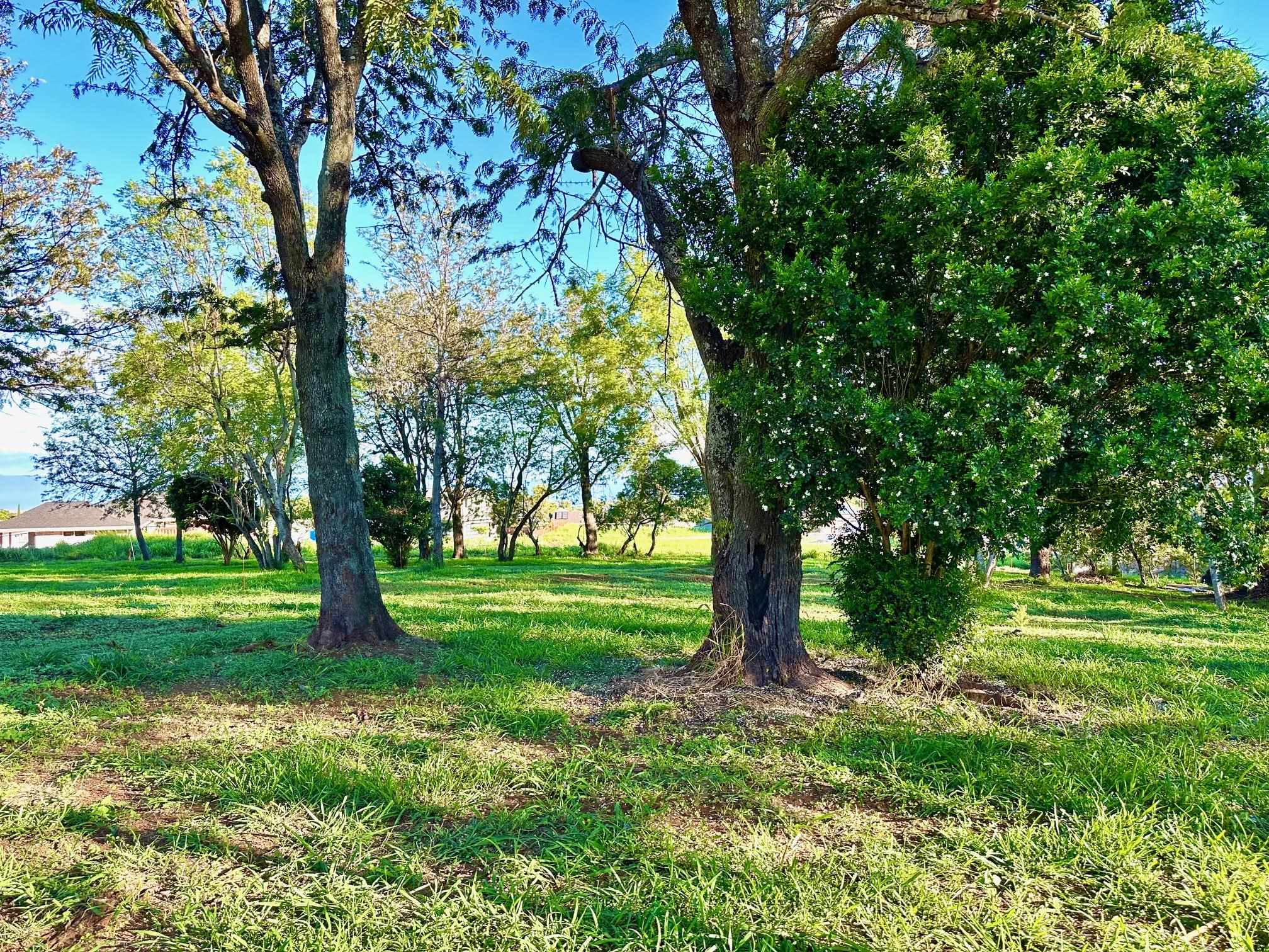 26 Kula Hwy Lower Kula  - photo 8 of 35