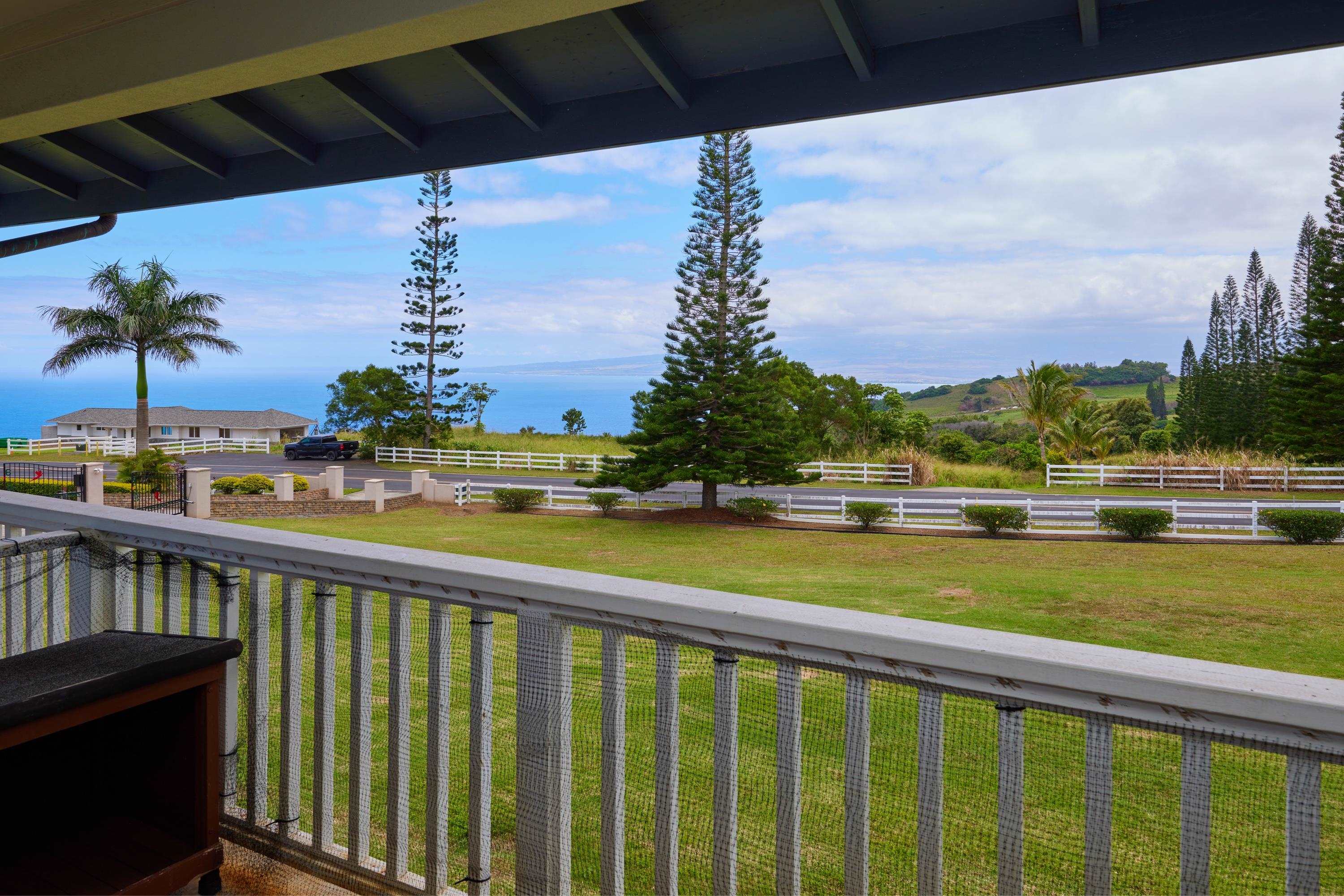 26  Lahaole Pl Kahakuloa, Wailuku home - photo 29 of 30