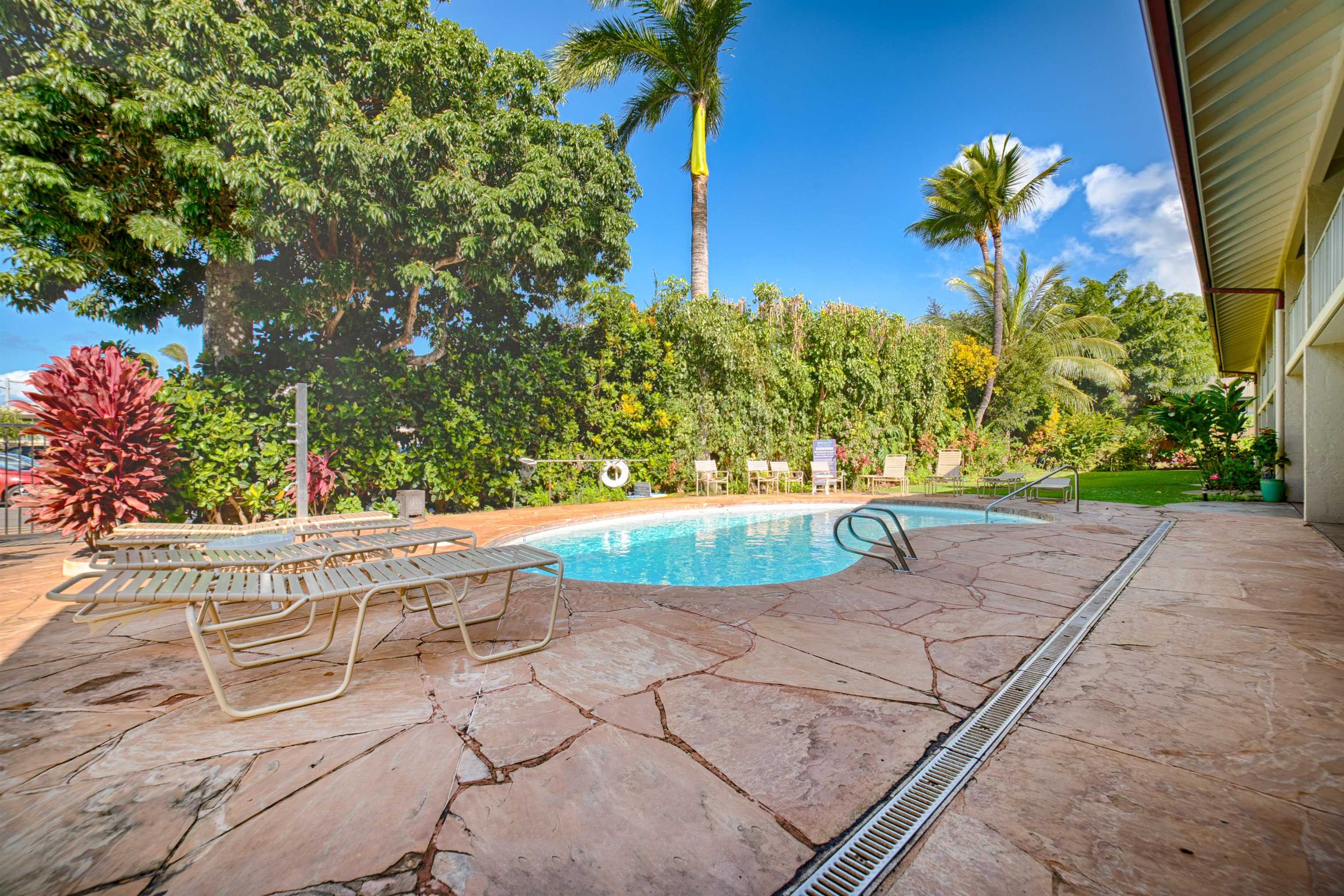 Napili Puamala condo # 223, Lahaina, Hawaii - photo 25 of 35