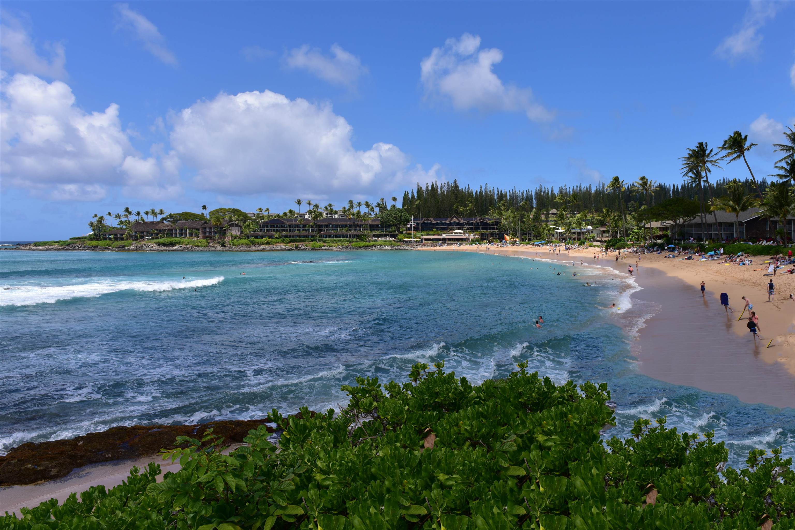 Napili Puamala condo # 223, Lahaina, Hawaii - photo 34 of 35
