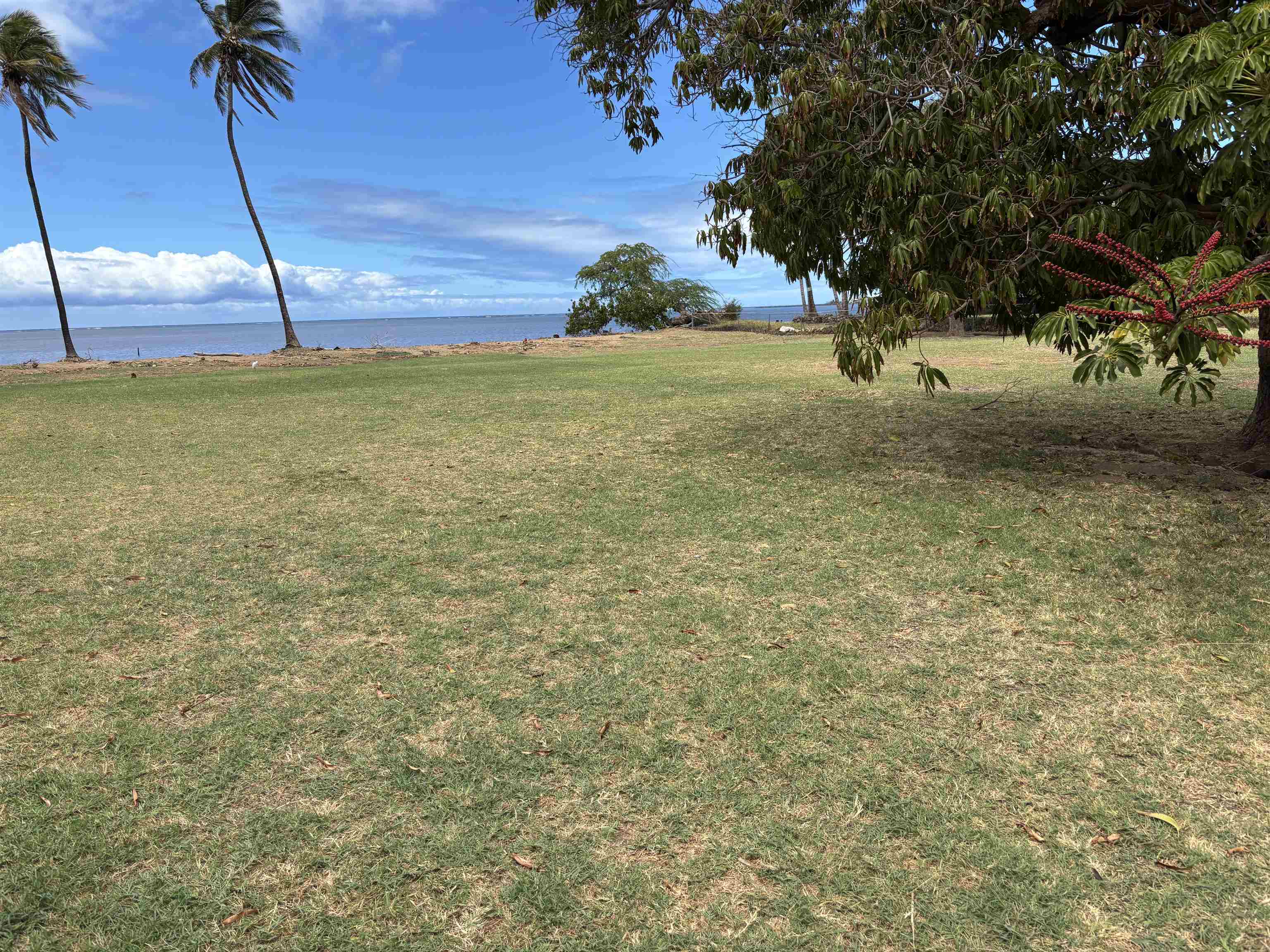 260  Seaside Pl , Molokai home - photo 16 of 17