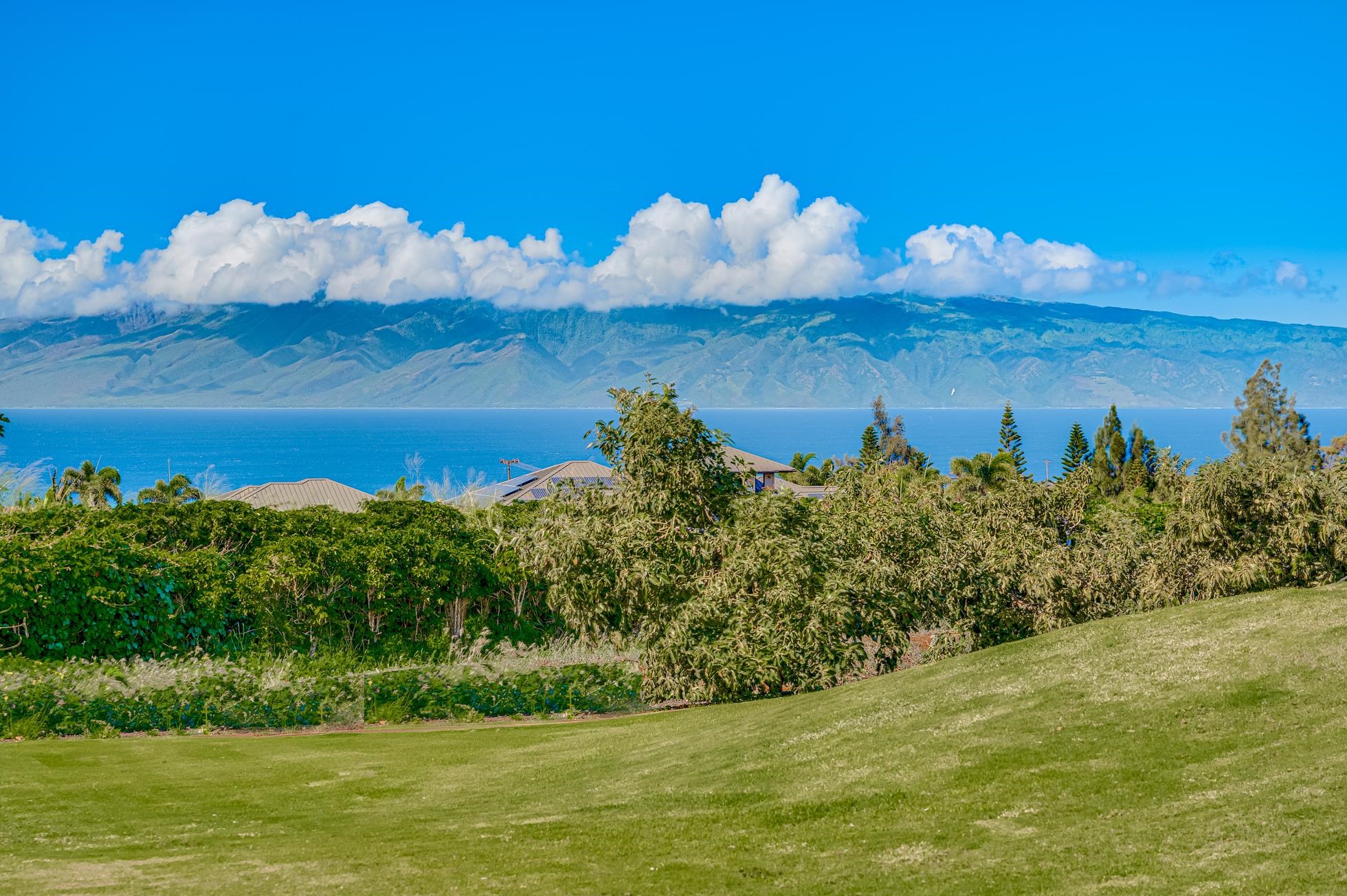 2600  Aina Mahiai St Ka'anapali Coffee Farms, Kaanapali home - photo 19 of 50