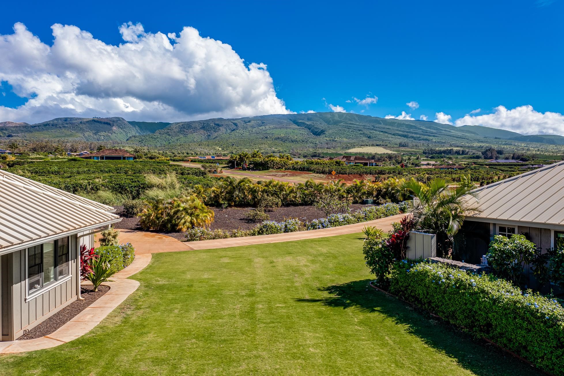 2600  Aina Mahiai St Ka'anapali Coffee Farms, Kaanapali home - photo 34 of 50