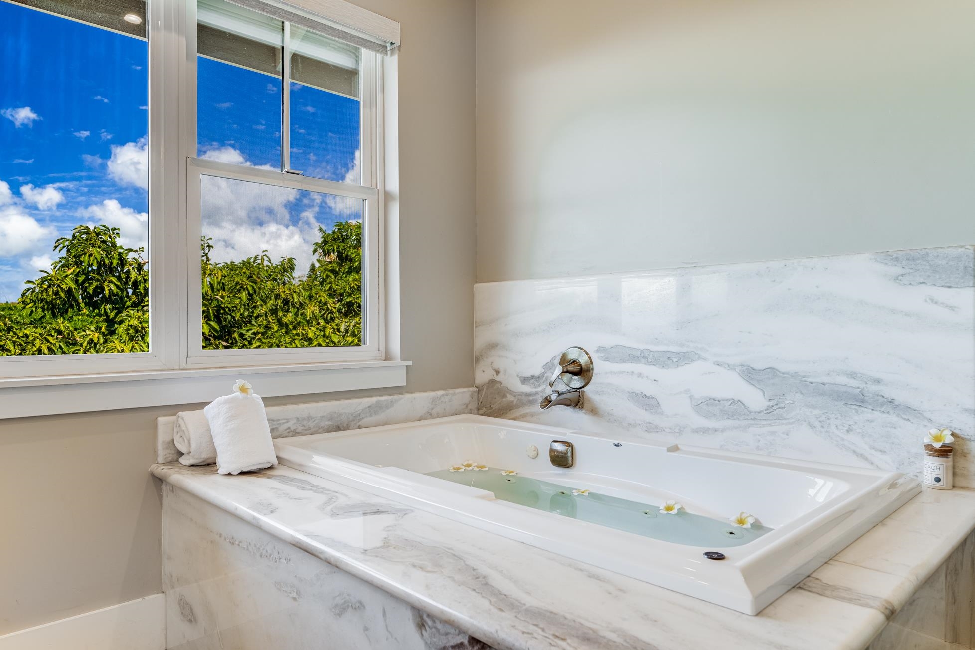 2600  Aina Mahiai St Ka'anapali Coffee Farms, Kaanapali home - photo 24 of 50