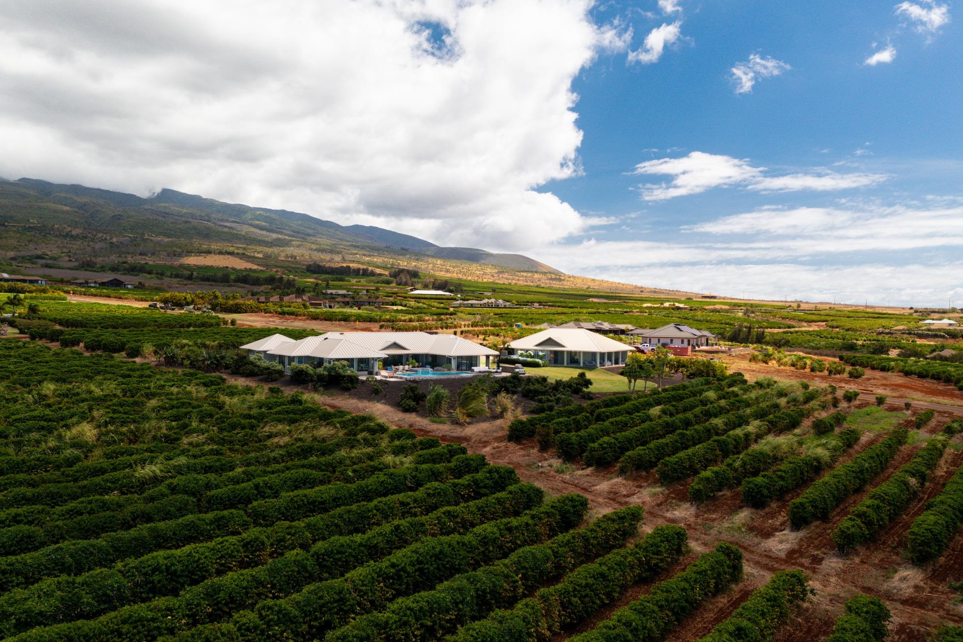 2600  Aina Mahiai St Ka'anapali Coffee Farms, Kaanapali home - photo 45 of 50