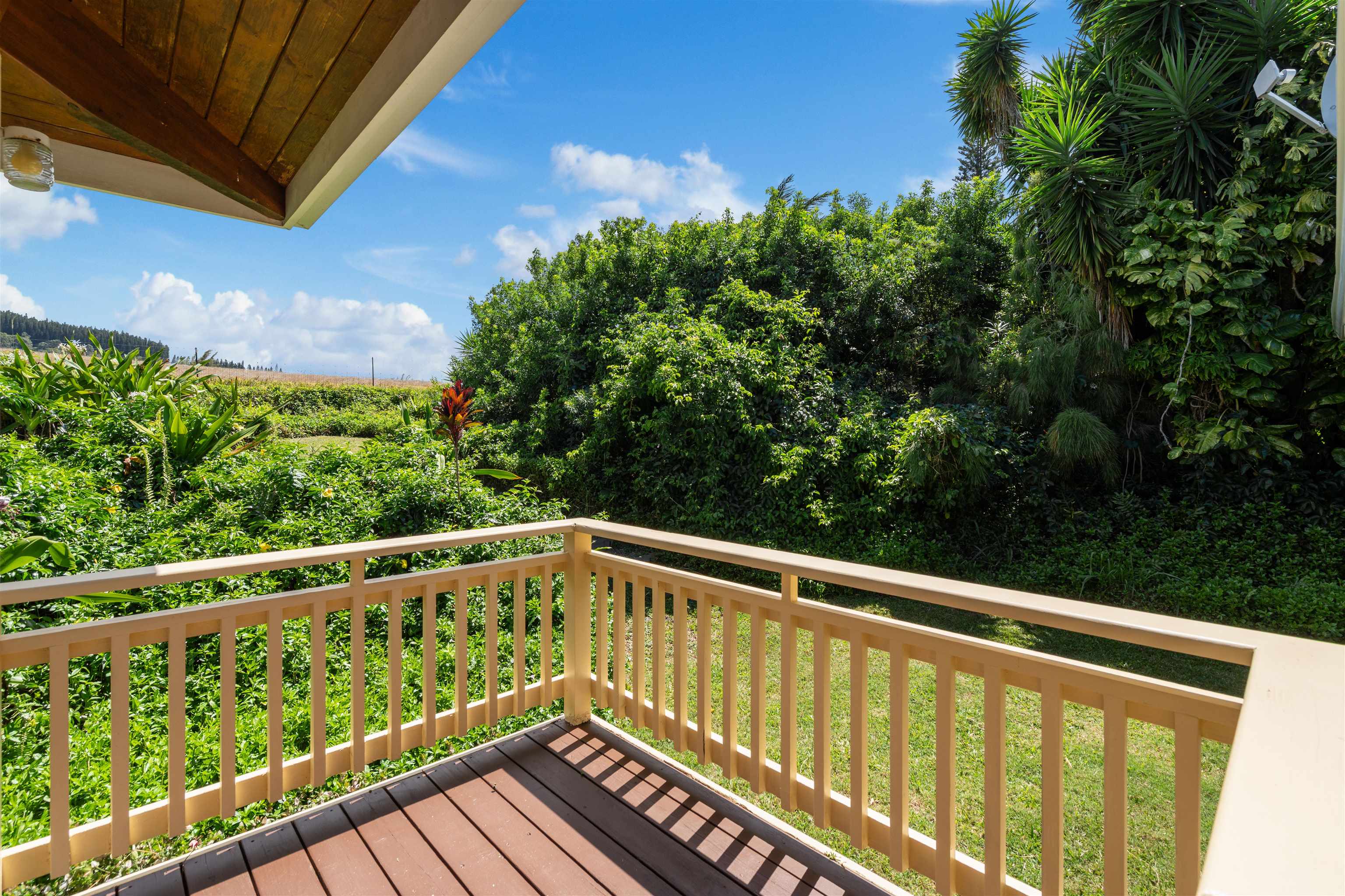 2600  Alohia Pl , Haiku home - photo 38 of 40