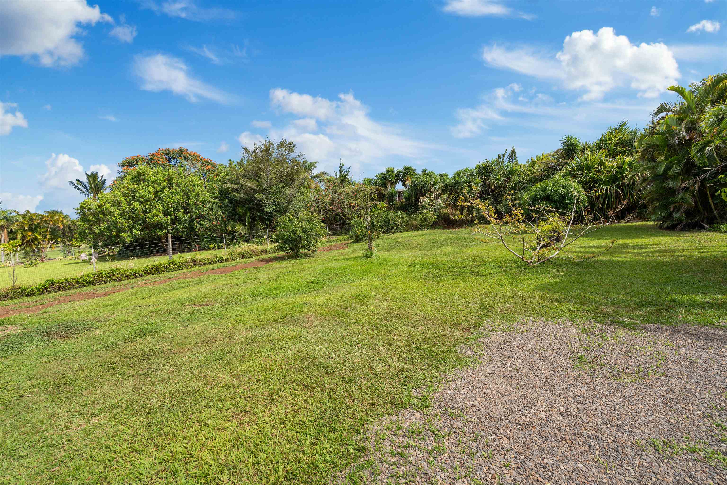 2600  Alohia Pl , Haiku home - photo 39 of 40