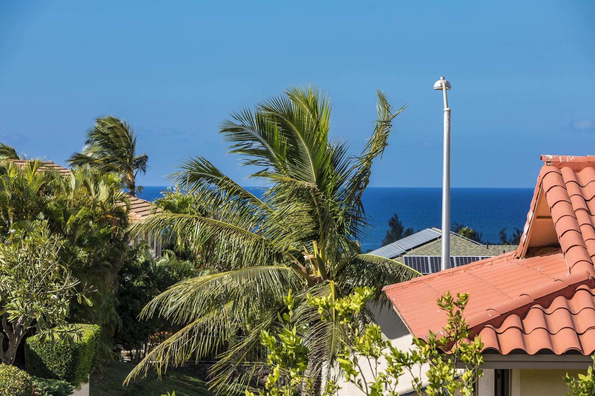 2608  Lioholo Pl Keonekai, Kihei home - photo 23 of 23