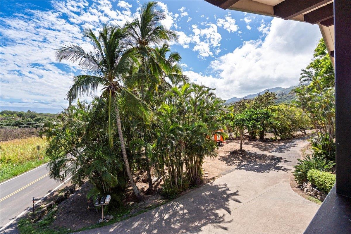 2609  Kahekili Hwy Waihee, Wailuku home - photo 28 of 50