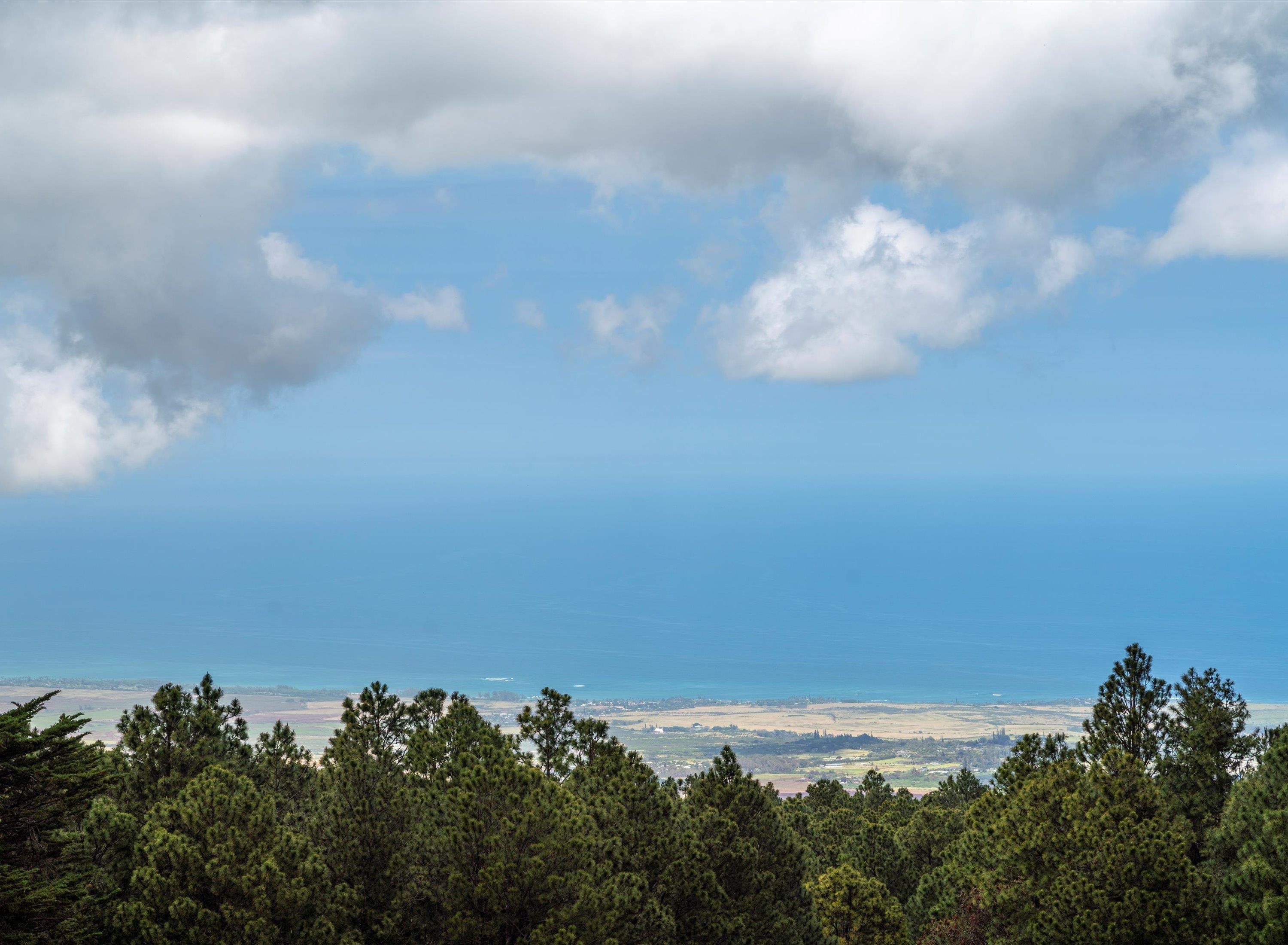 2611  Olinda Rd , Makawao/Olinda/Haliimaile home - photo 2 of 50