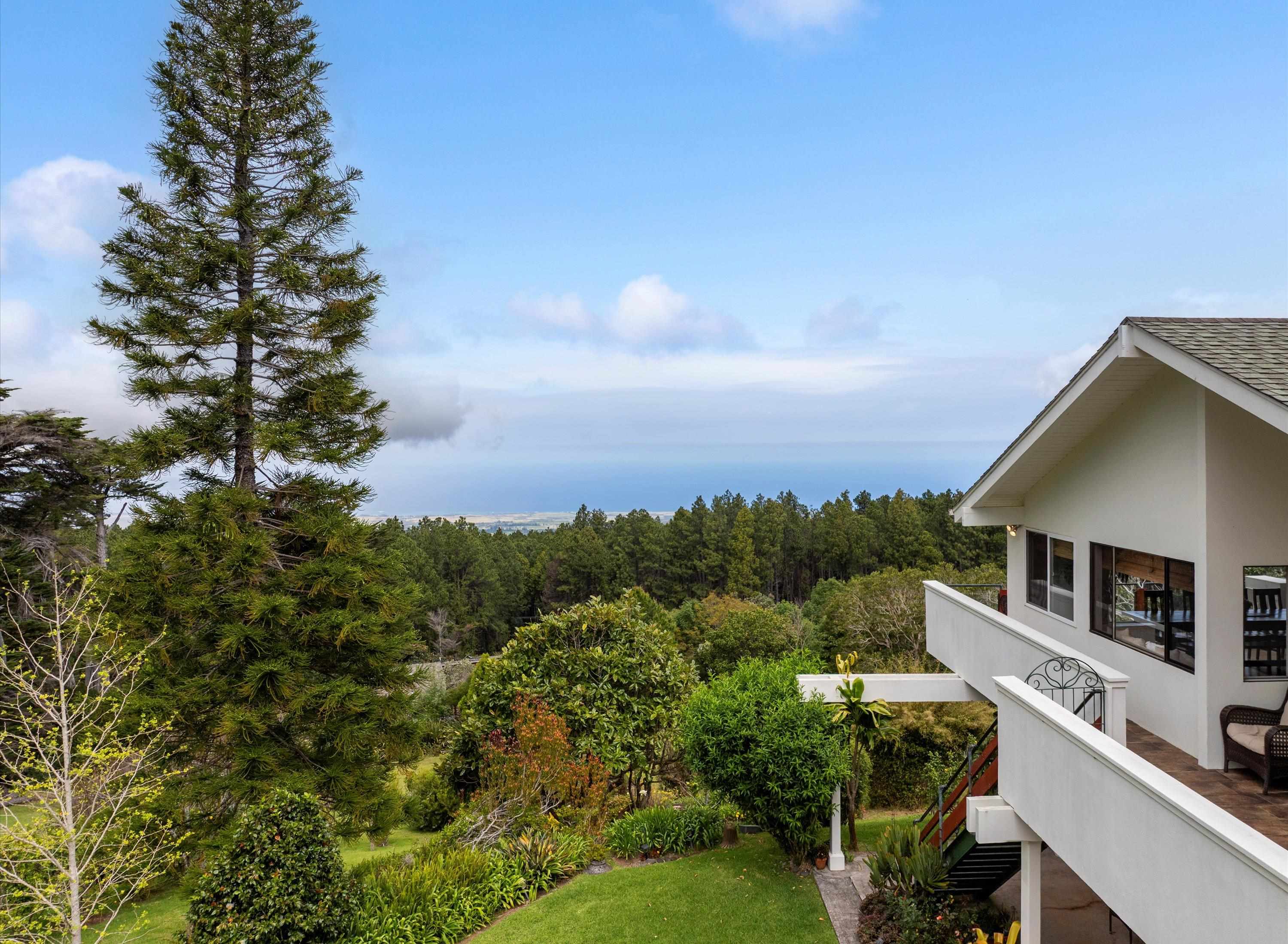 2611  Olinda Rd , Makawao/Olinda/Haliimaile home - photo 13 of 50