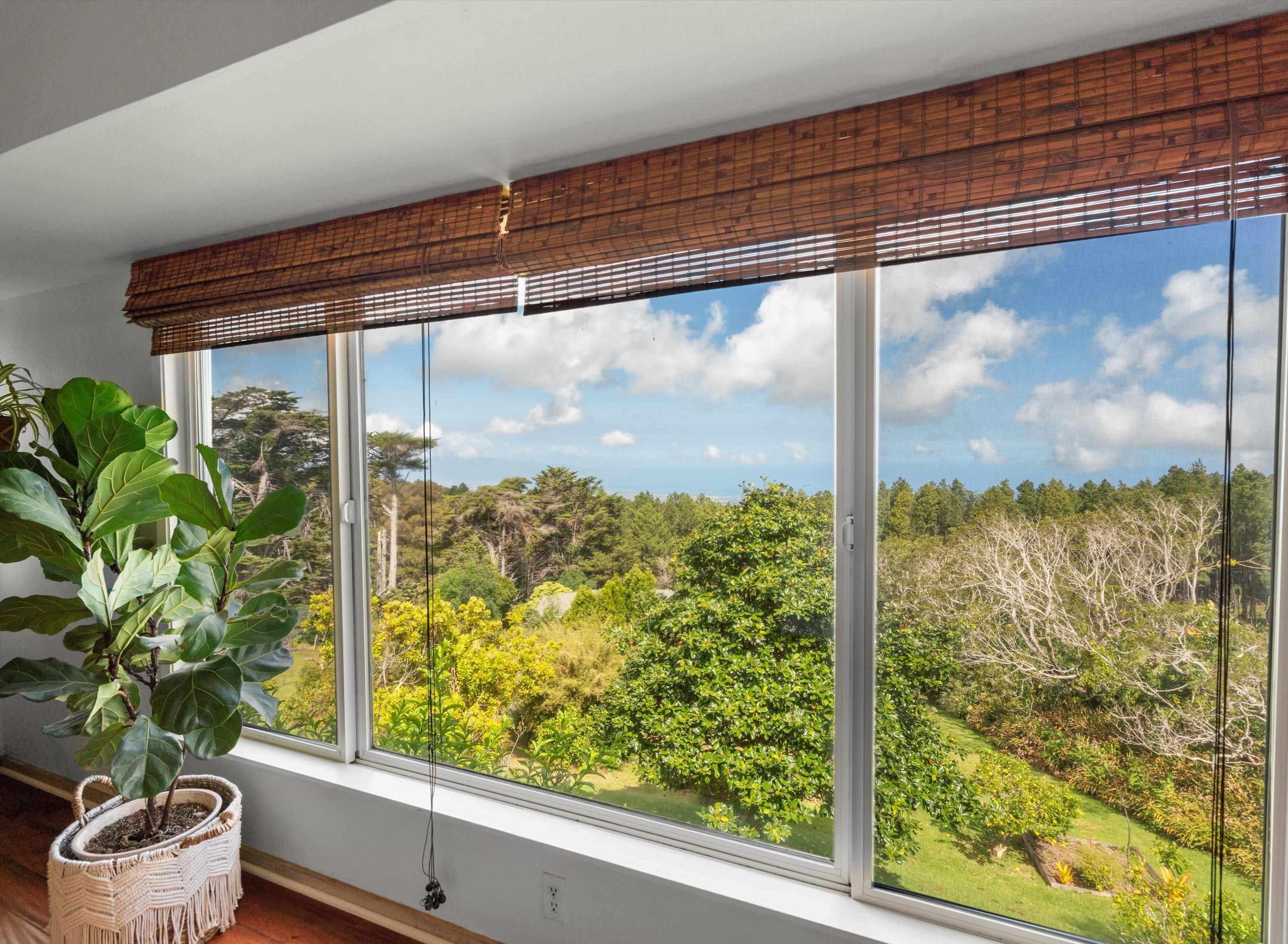 2611  Olinda Rd , Makawao/Olinda/Haliimaile home - photo 17 of 50