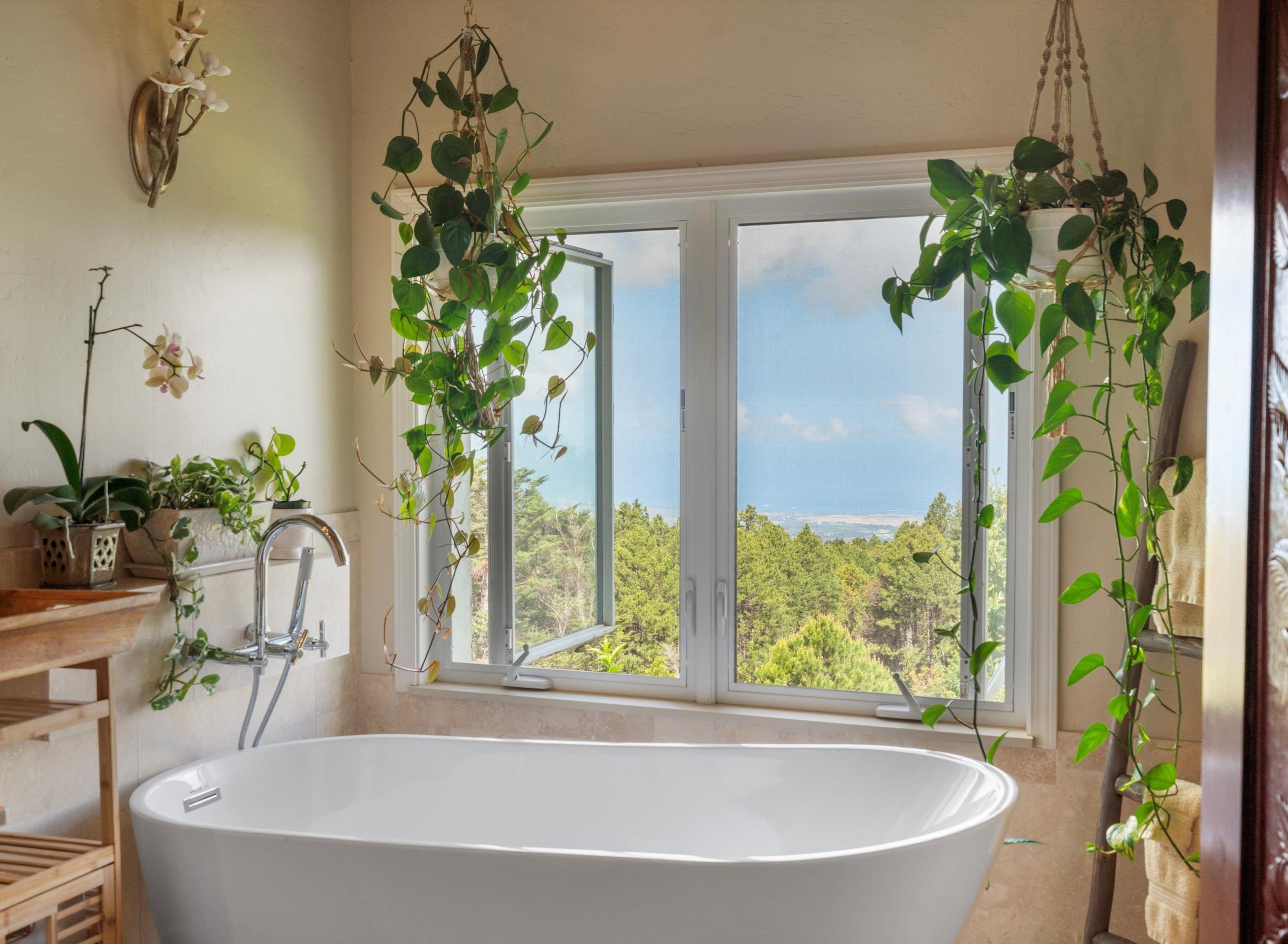 2611  Olinda Rd , Makawao/Olinda/Haliimaile home - photo 19 of 50