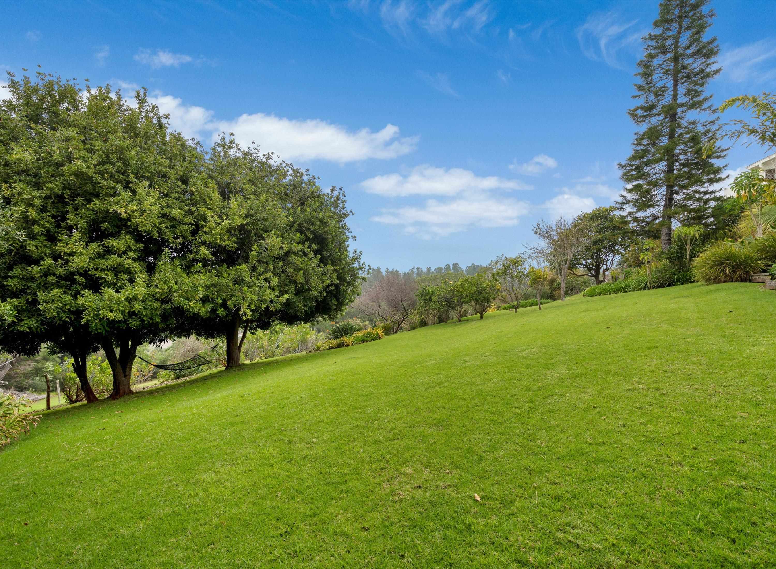 2611  Olinda Rd , Makawao/Olinda/Haliimaile home - photo 44 of 50