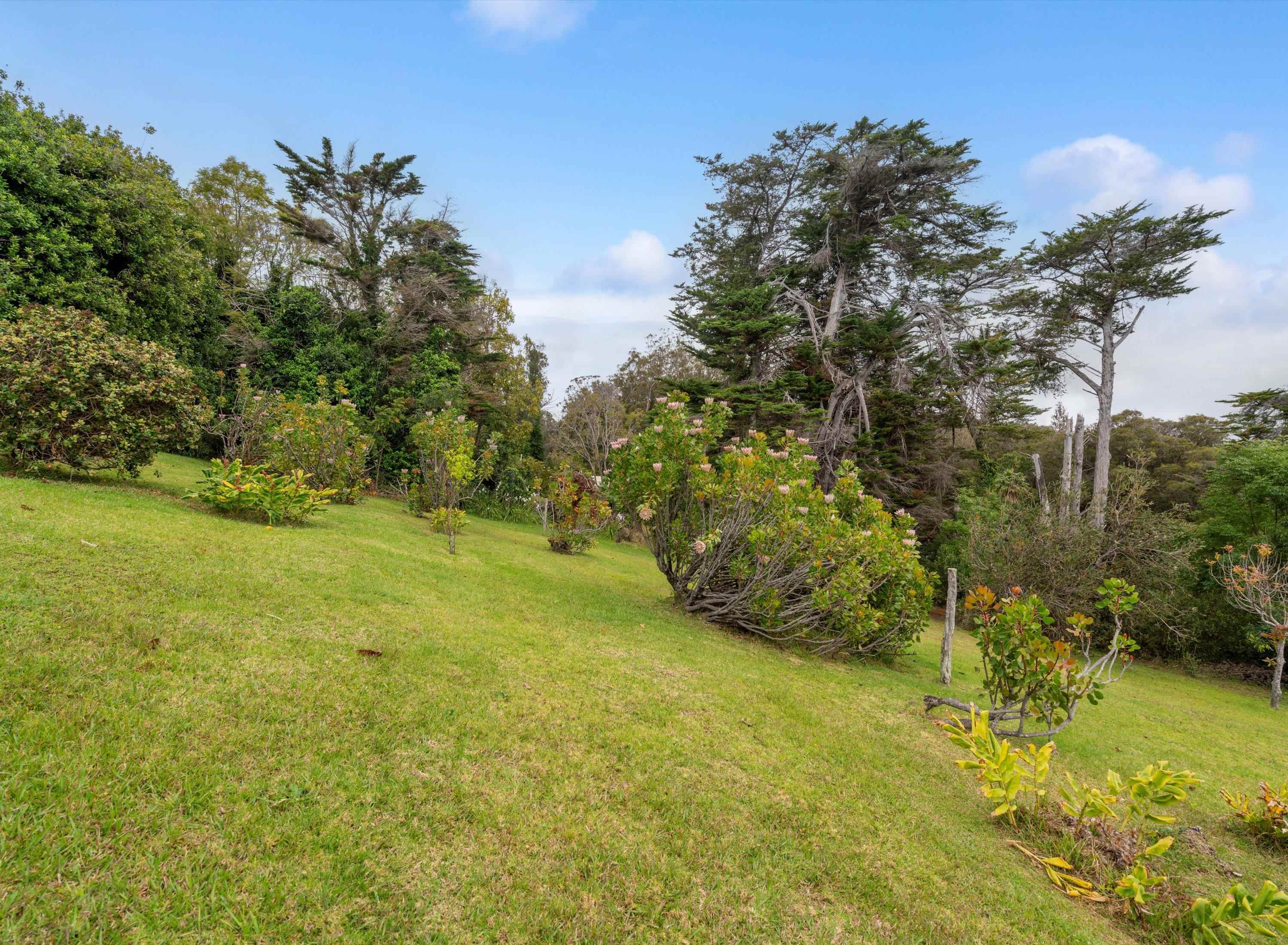 2611  Olinda Rd , Makawao/Olinda/Haliimaile home - photo 46 of 50