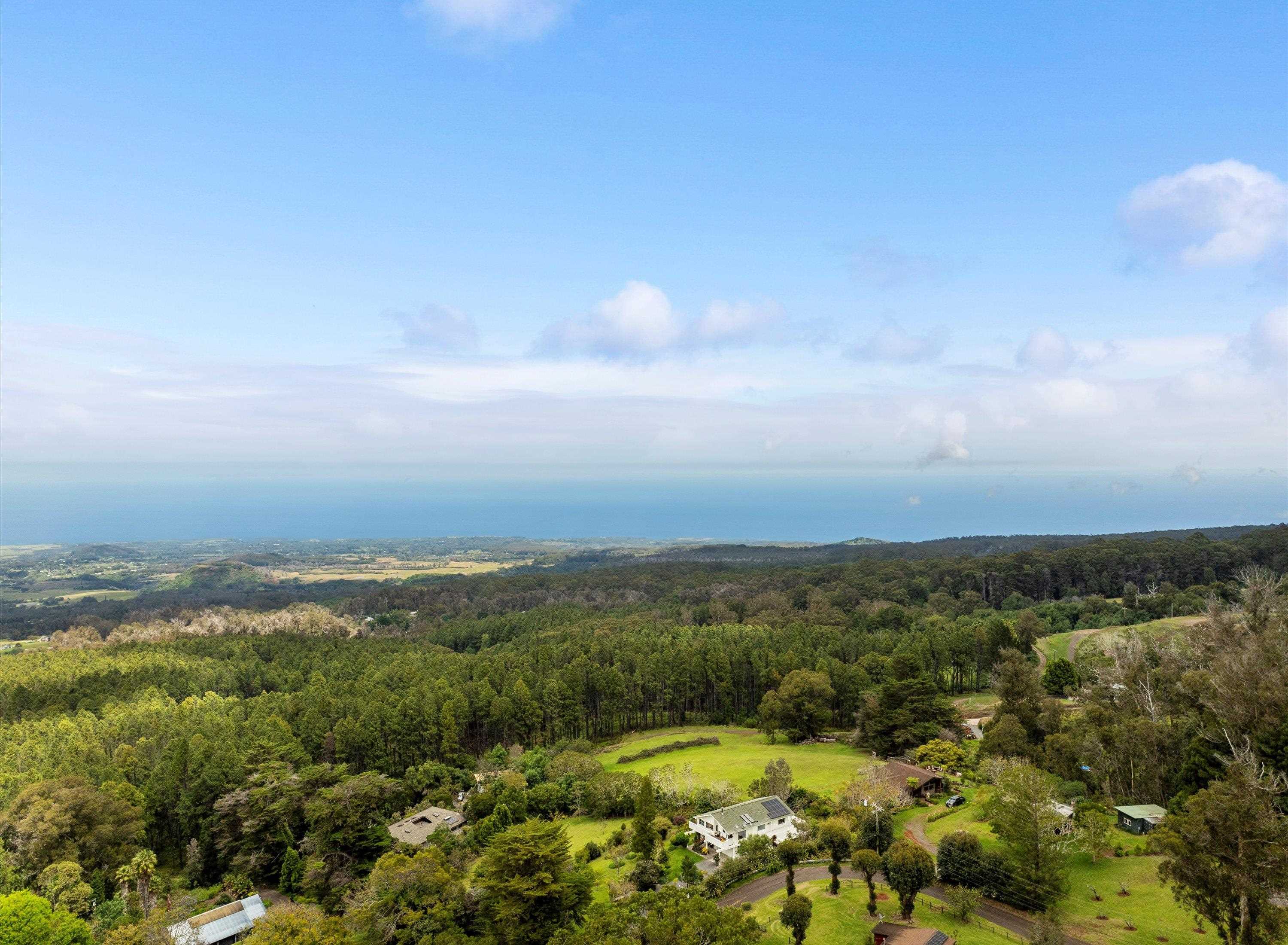 2611  Olinda Rd , Makawao/Olinda/Haliimaile home - photo 47 of 50