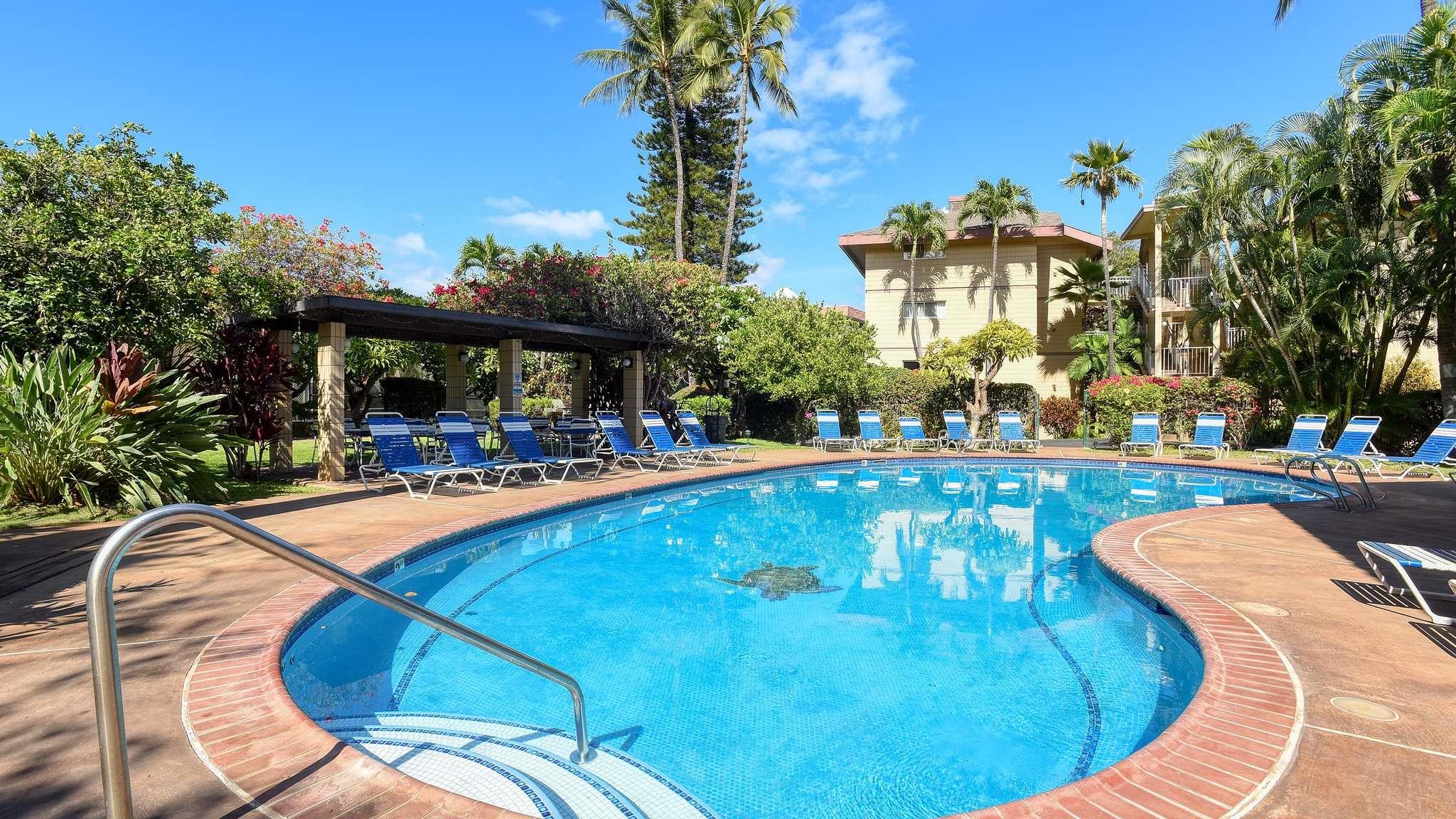 Haleakala Shores condo # 309A, Kihei, Hawaii - photo 4 of 42