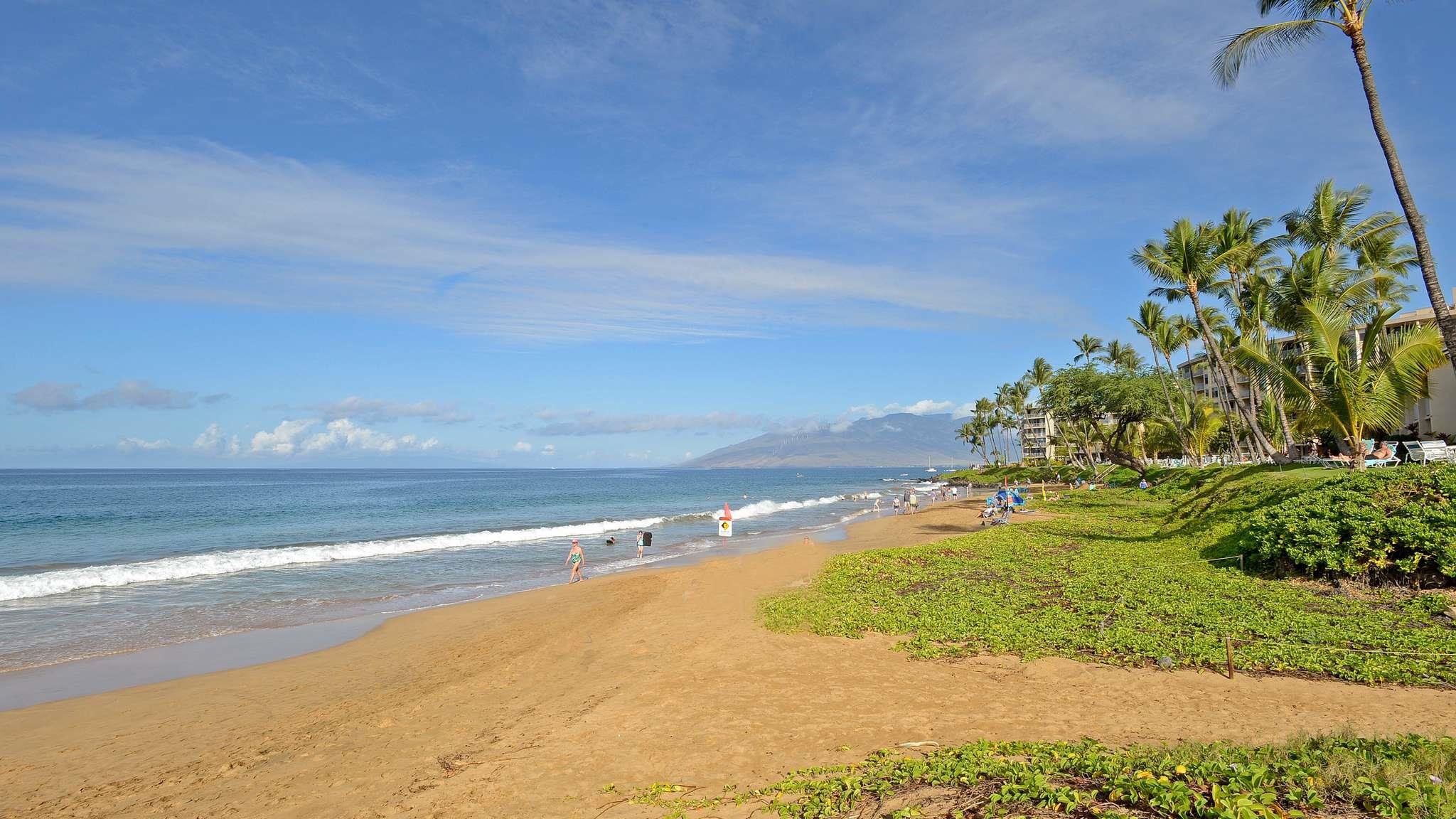 Haleakala Shores condo # 309A, Kihei, Hawaii - photo 32 of 42