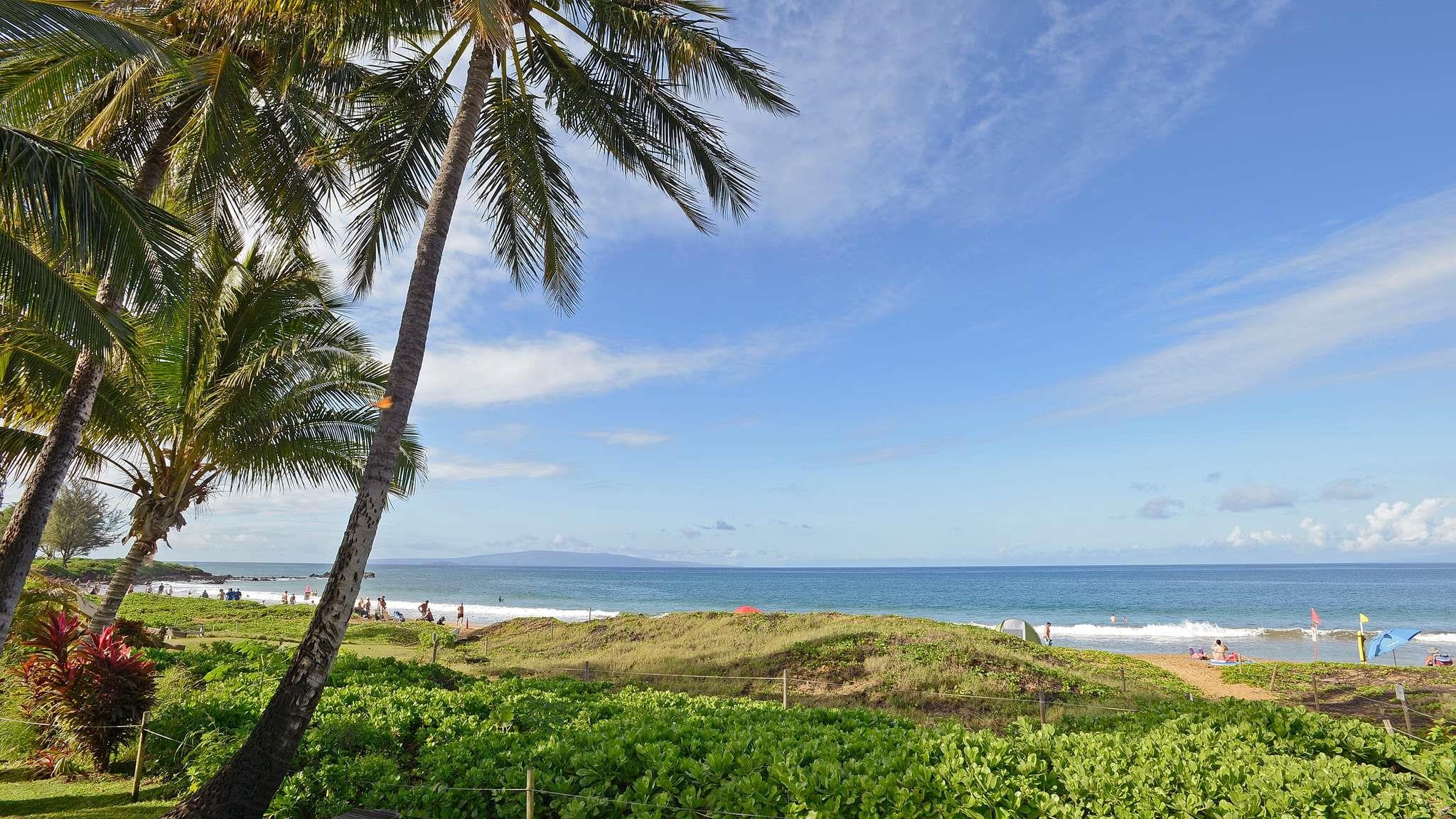 Haleakala Shores condo # 309A, Kihei, Hawaii - photo 33 of 42
