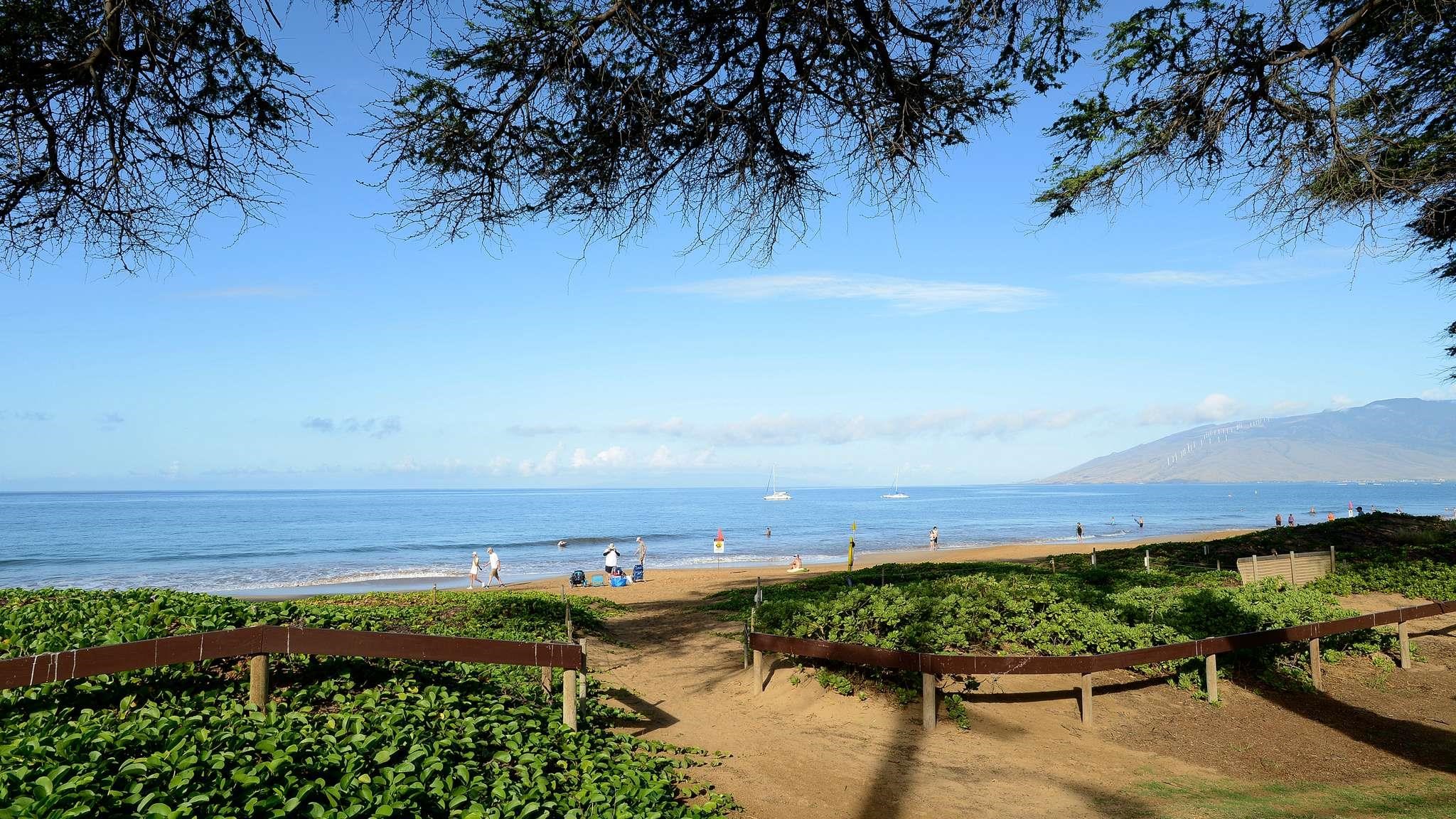 Haleakala Shores condo # 309A, Kihei, Hawaii - photo 35 of 42