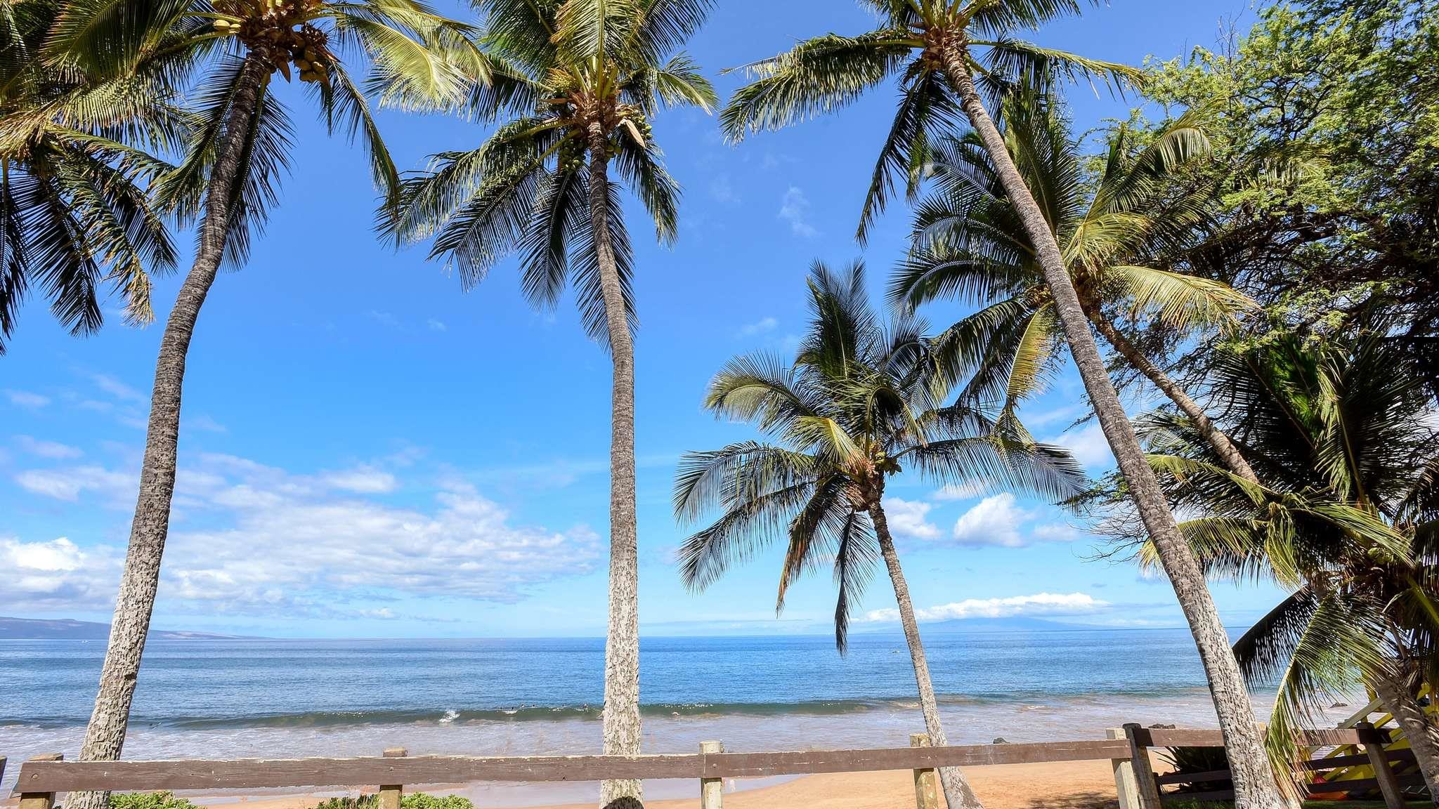 Haleakala Shores condo # 309A, Kihei, Hawaii - photo 40 of 42