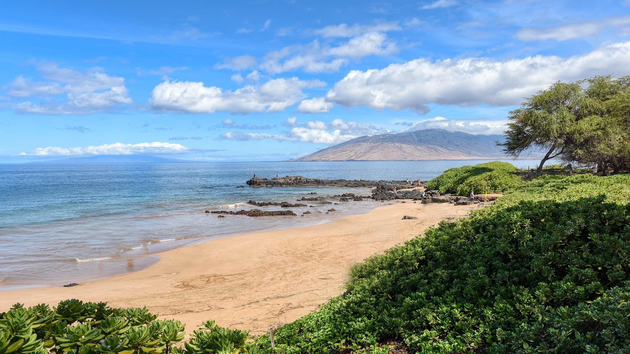 Haleakala Shores condo # 309A, Kihei, Hawaii - photo 5 of 42