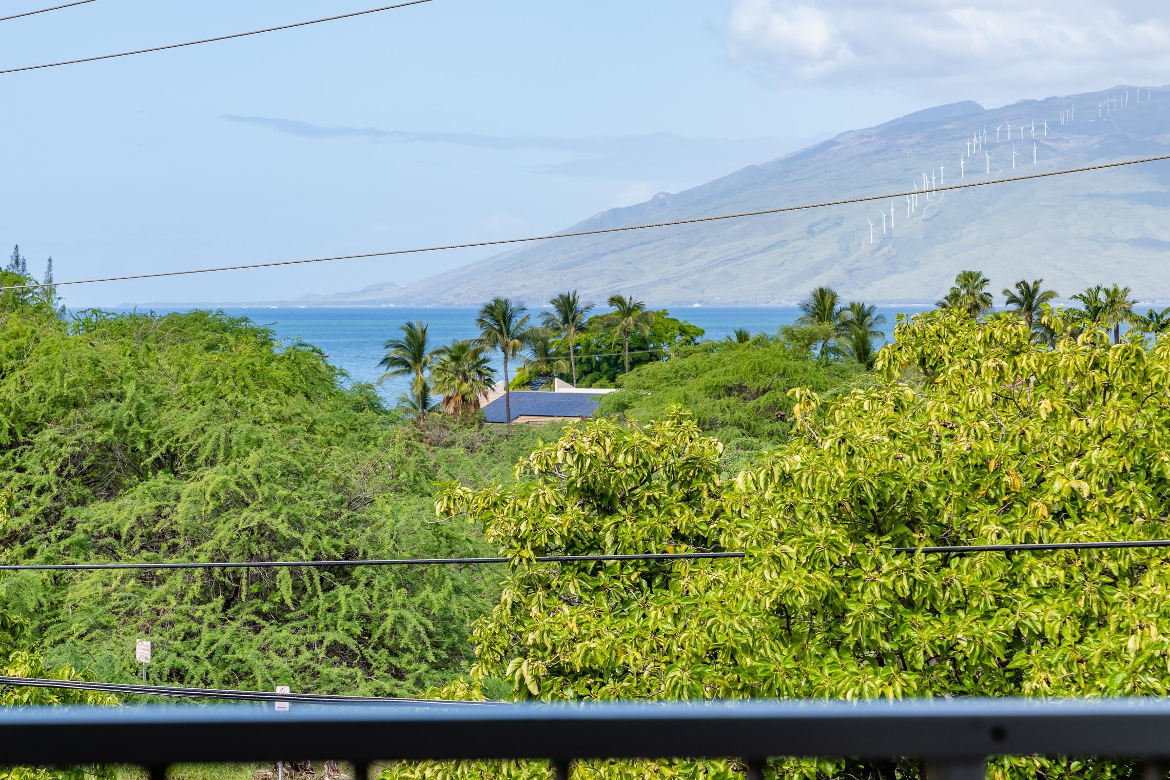 Haleakala Shores condo # 411B, Kihei, Hawaii - photo 24 of 25