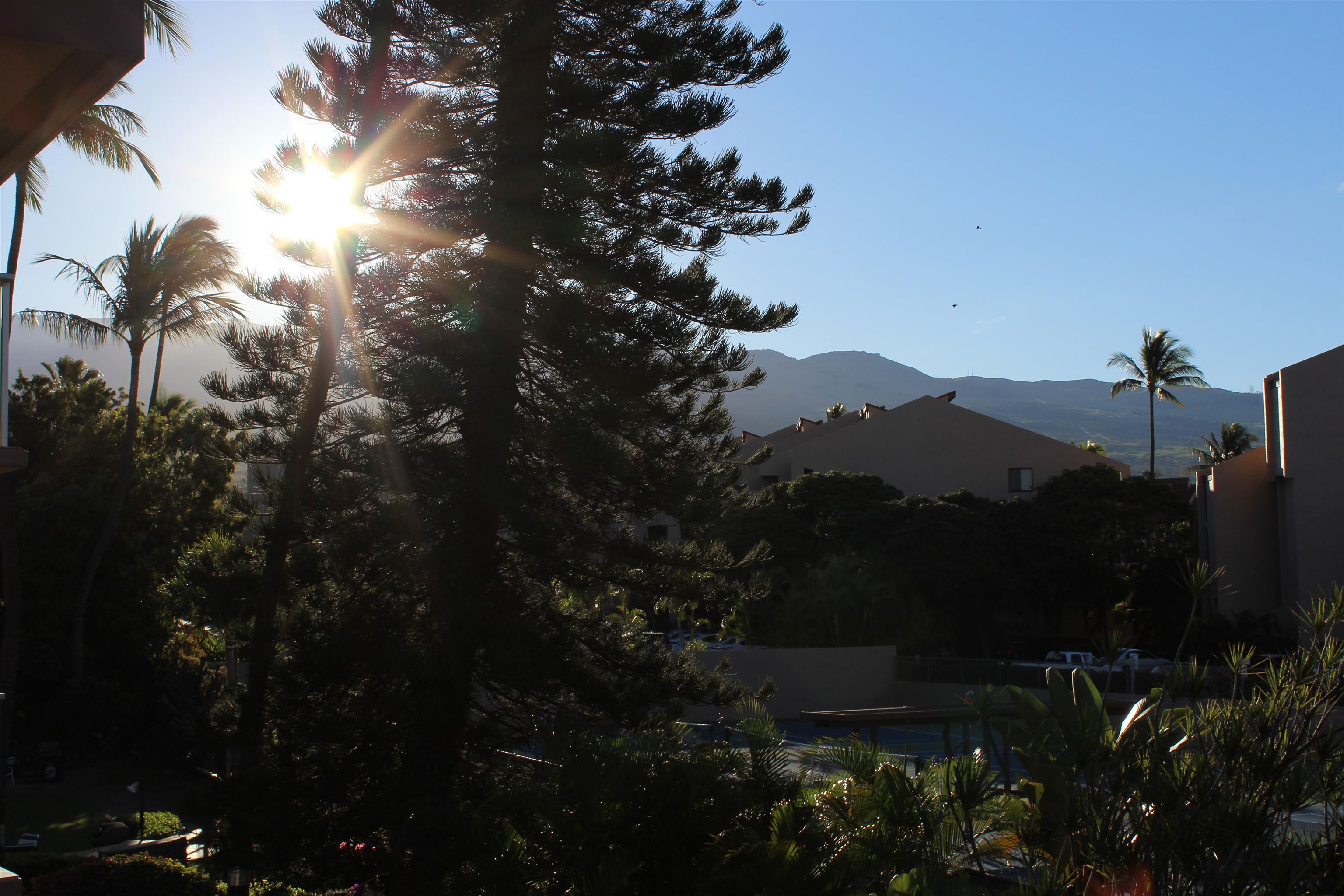 Haleakala Shores condo # A310, Kihei, Hawaii - photo 30 of 40