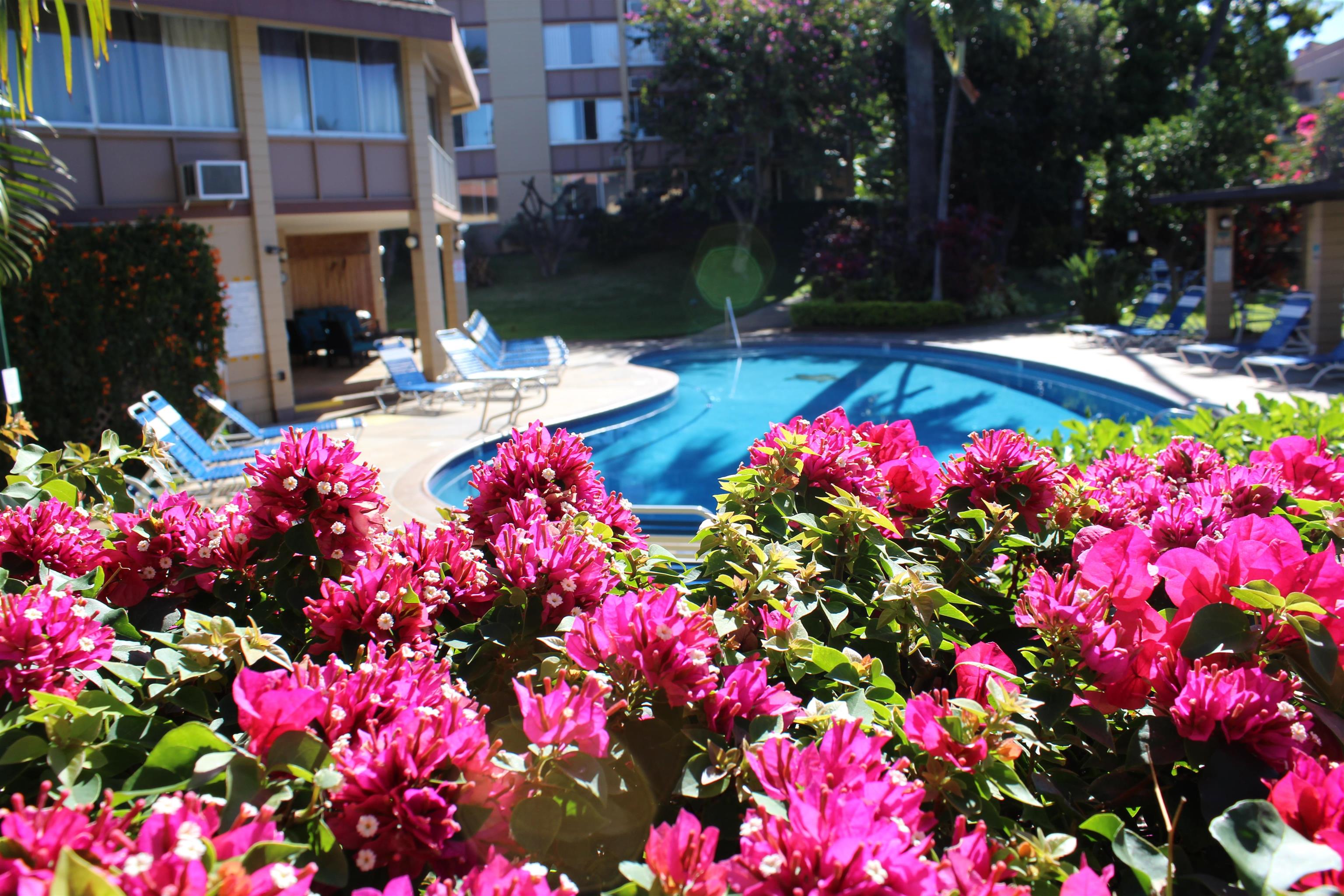 Haleakala Shores condo # A310, Kihei, Hawaii - photo 38 of 40