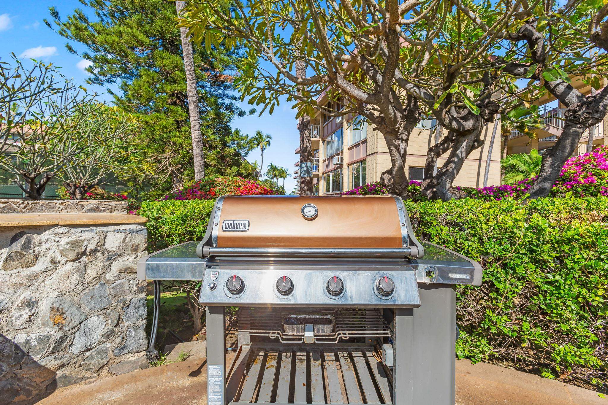 Haleakala Shores condo # A403, Kihei, Hawaii - photo 42 of 42