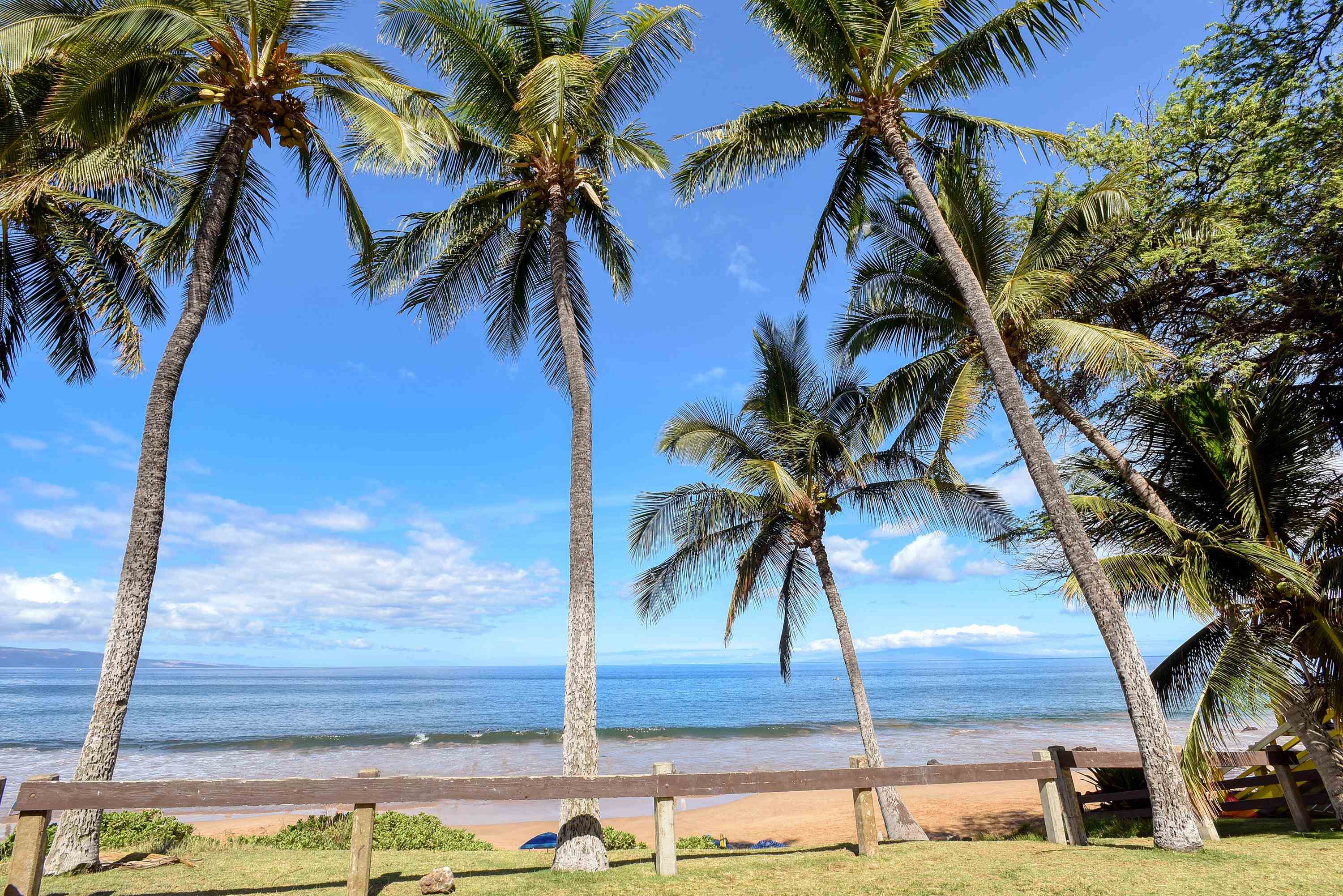 Haleakala Shores condo # B412, Kihei, Hawaii - photo 41 of 45