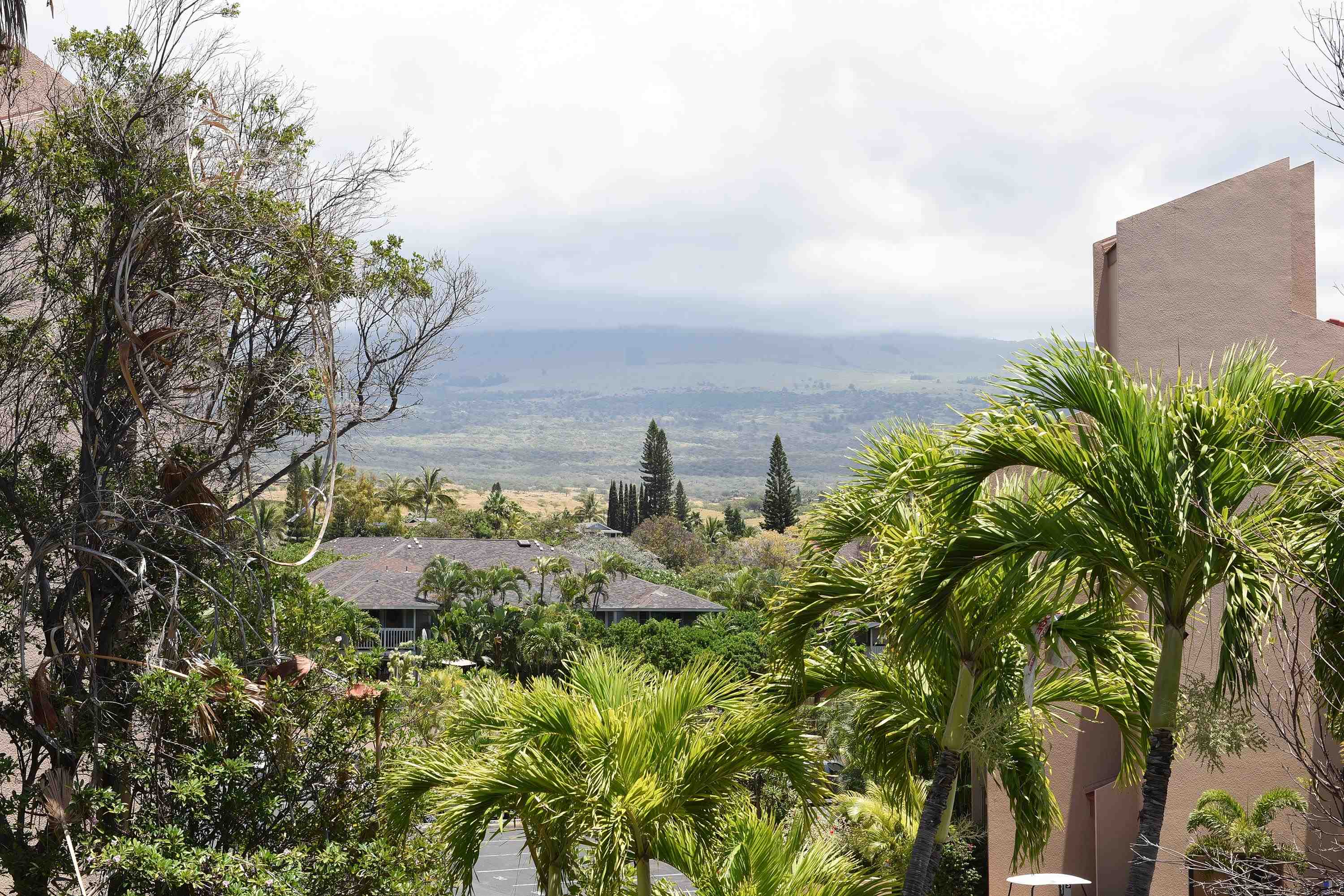 Haleakala Shores condo # B412, Kihei, Hawaii - photo 42 of 45