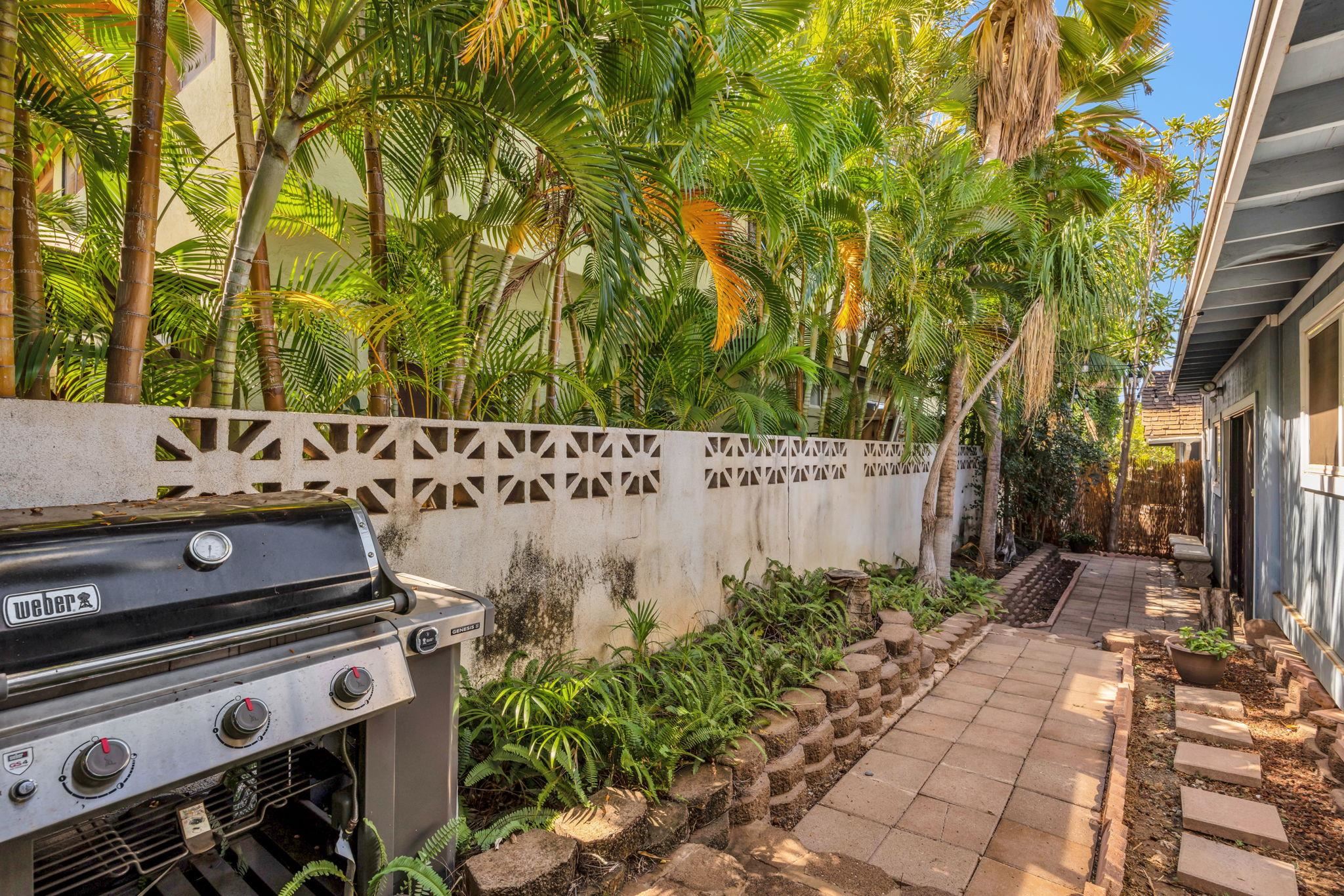 262  Hapakolu Pl Keonekai, Kihei home - photo 10 of 34